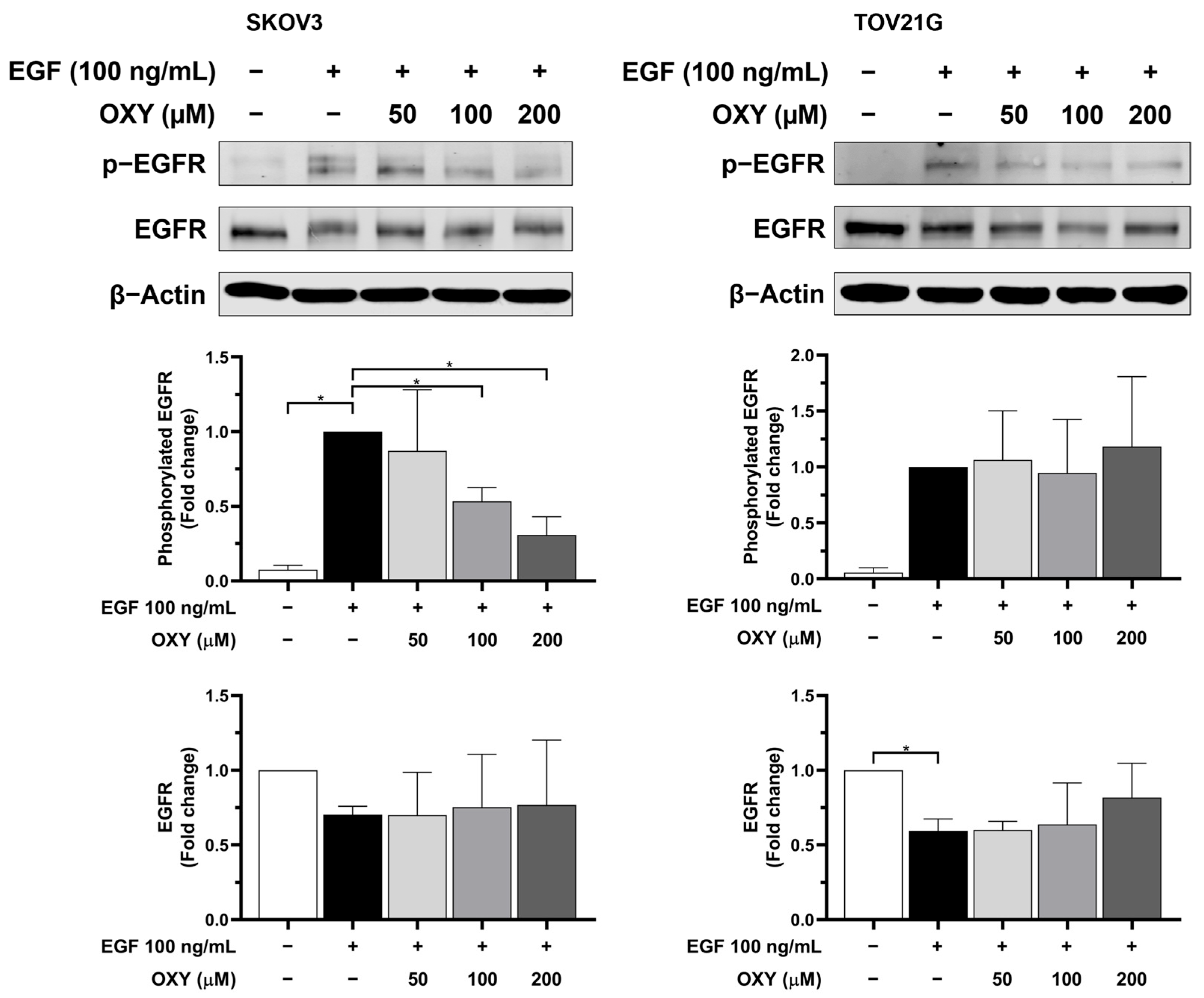 Biomolecules 14 01140 g005
