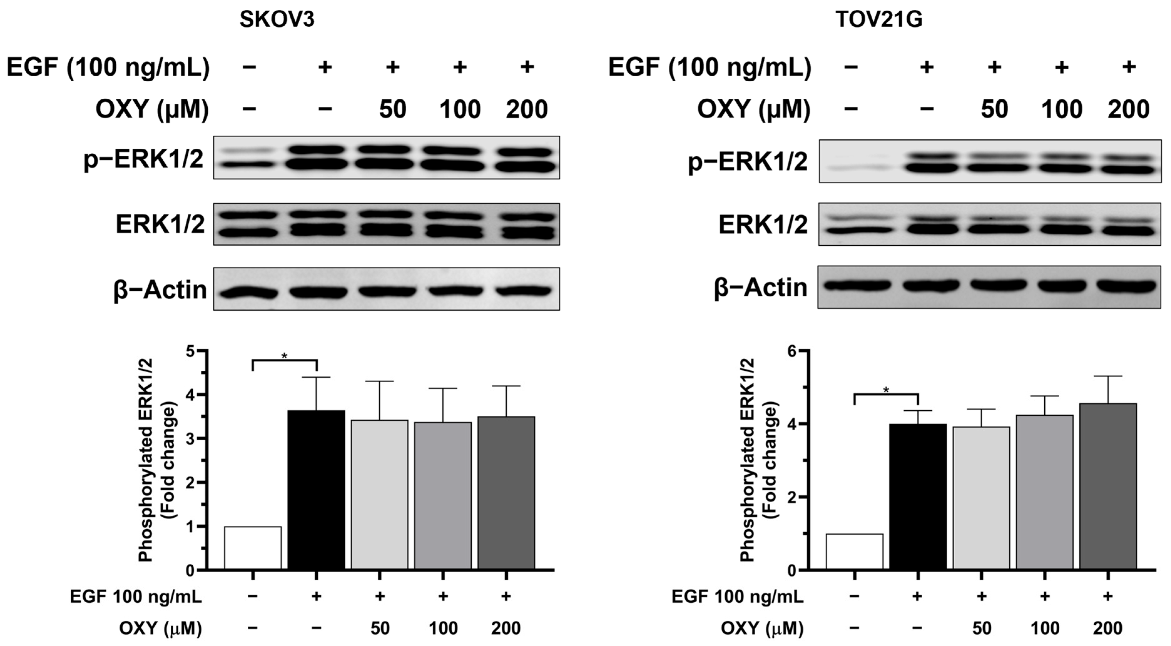 Biomolecules 14 01140 g007