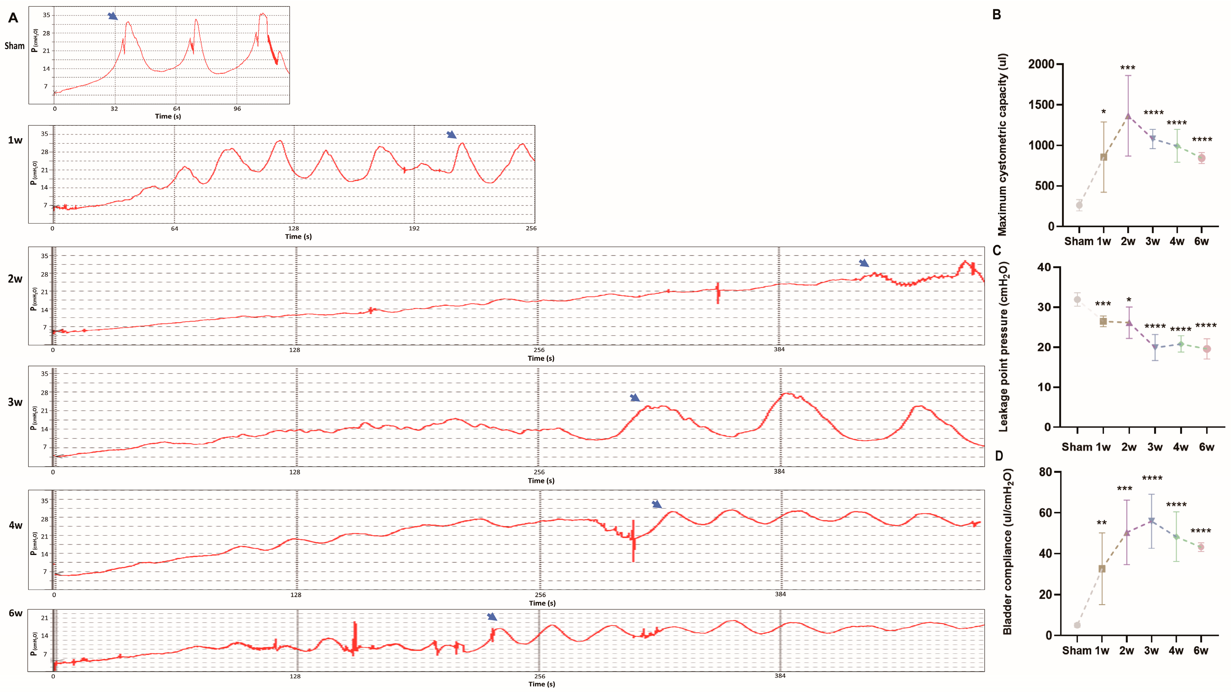 Biomolecules 14 01141 g002