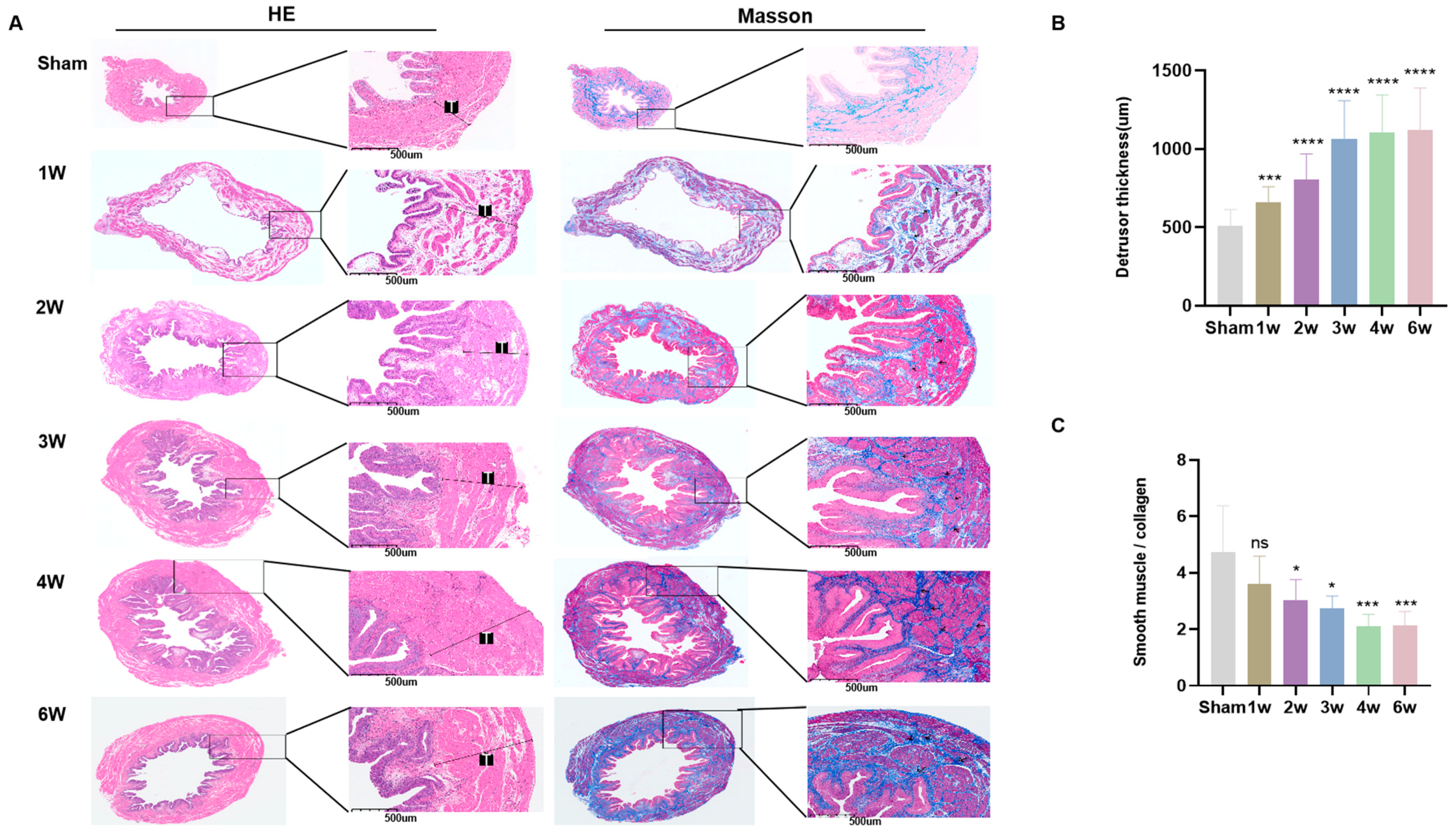 Biomolecules 14 01141 g003