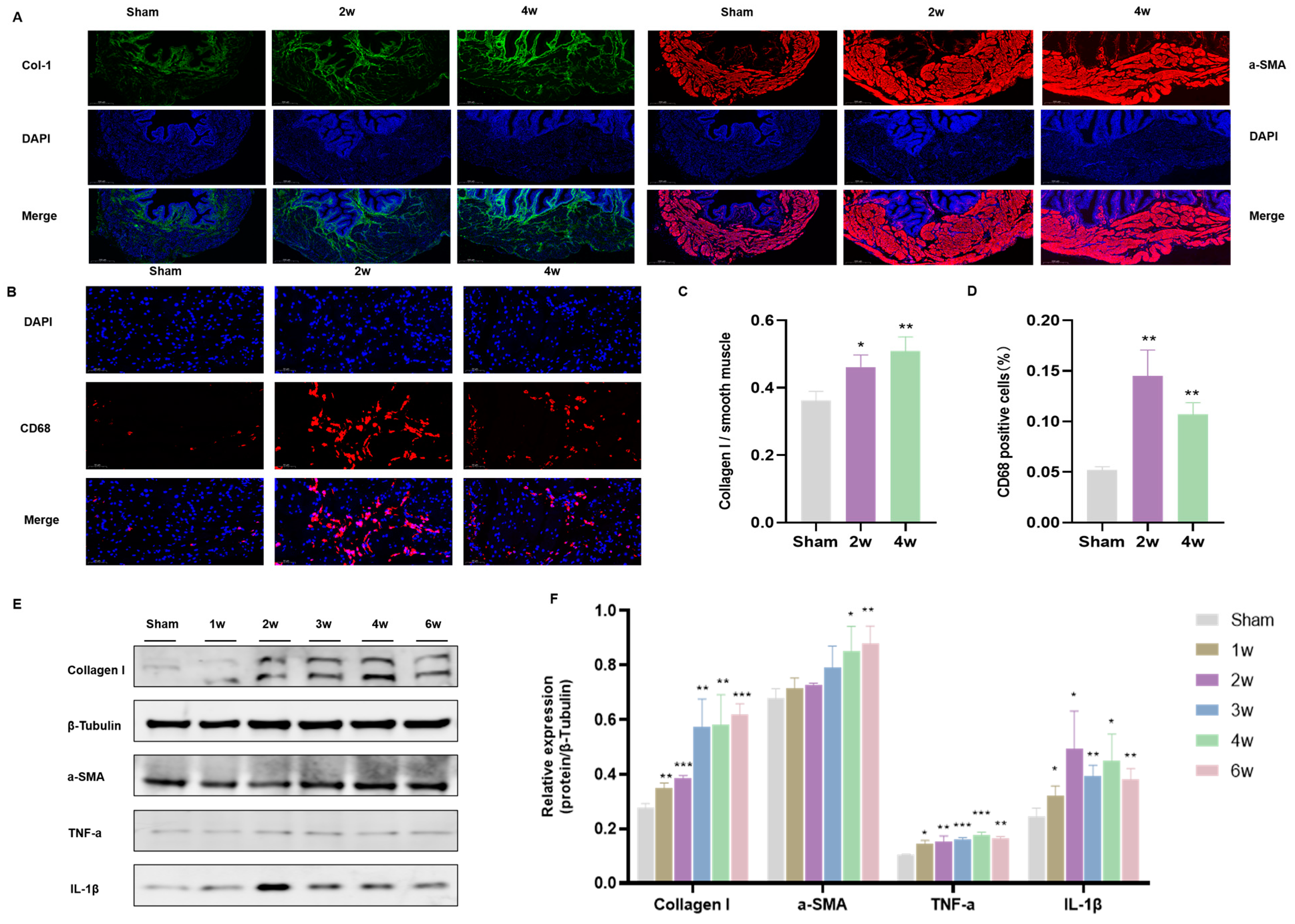 Biomolecules 14 01141 g004