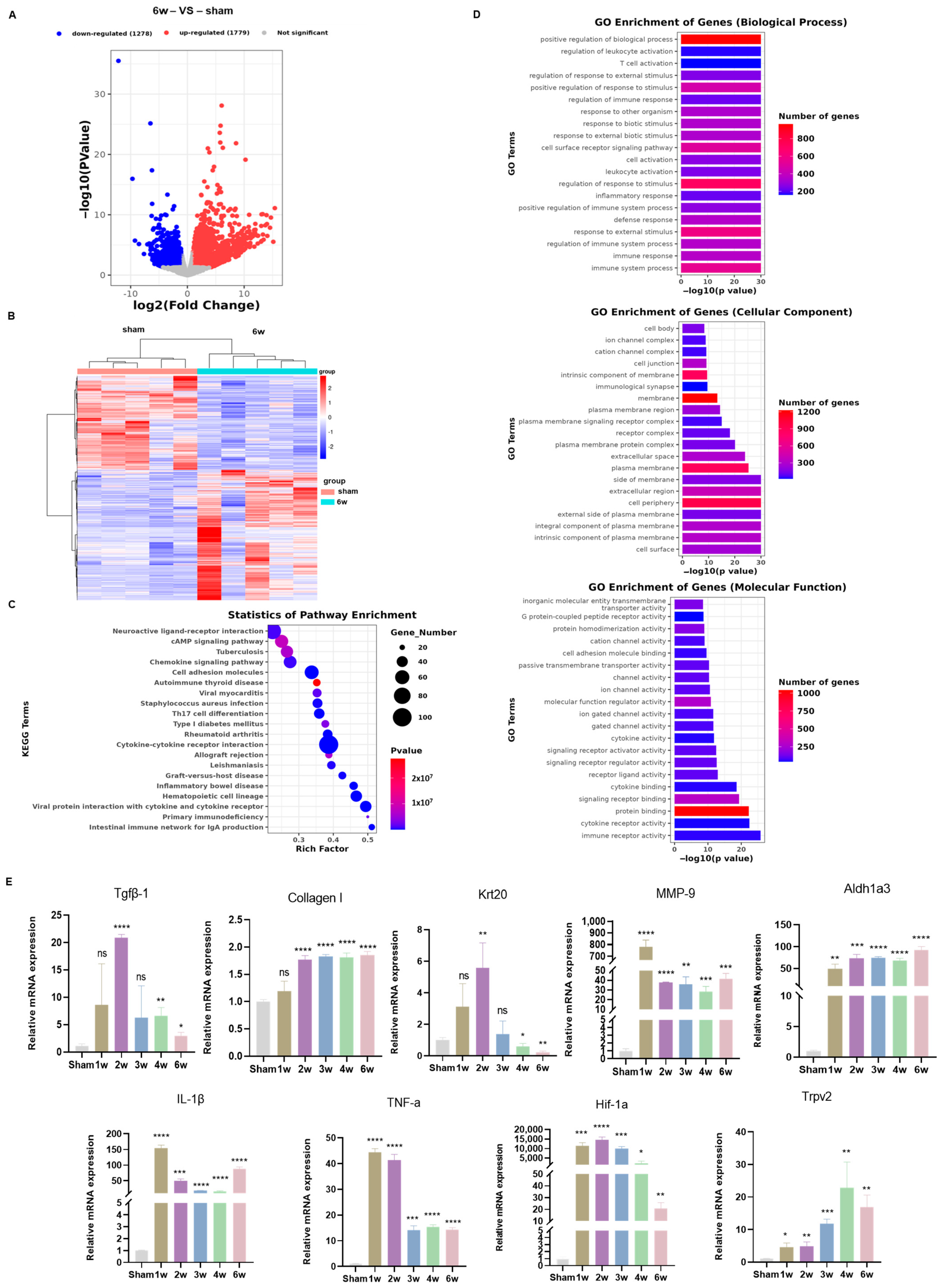 Biomolecules 14 01141 g005