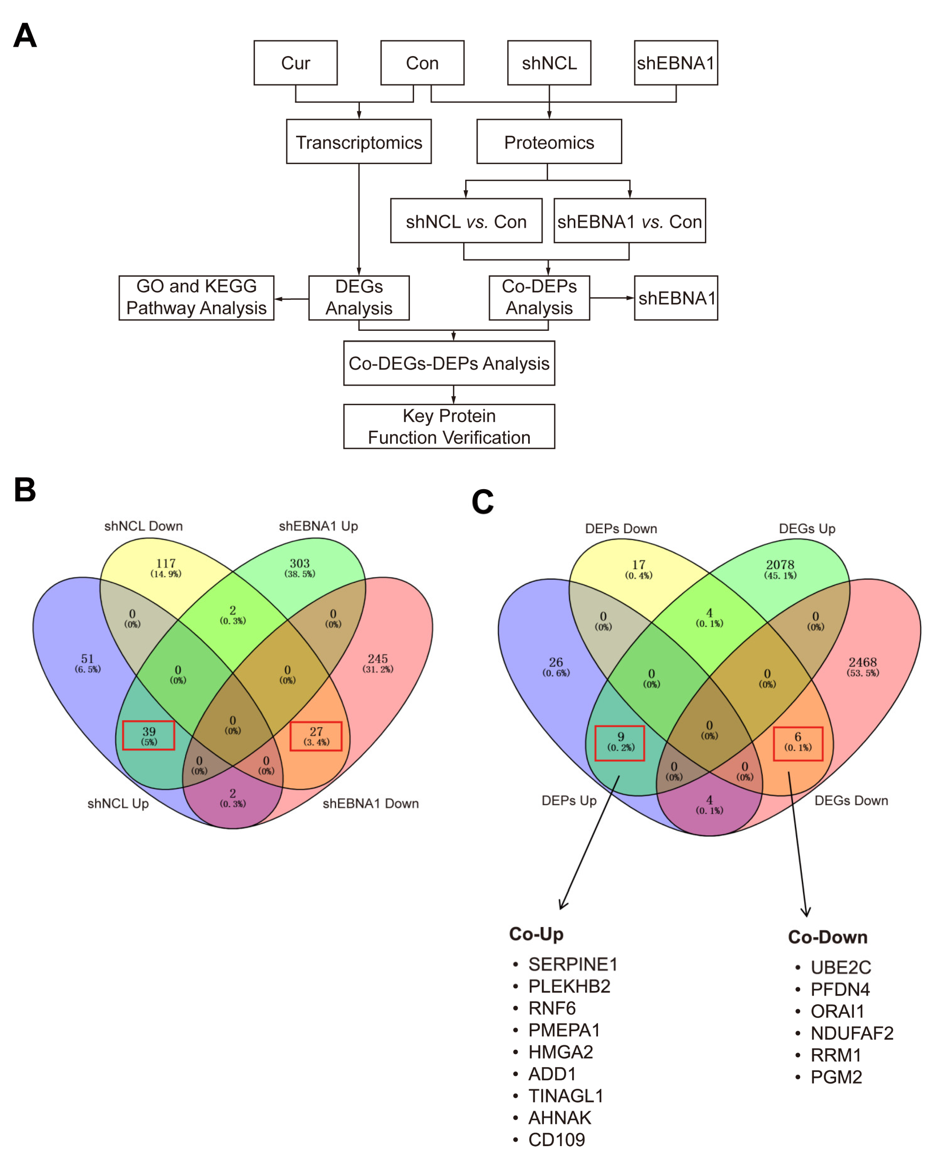 Biomolecules 14 01142 g004 Biomolecules 14 01142 g004