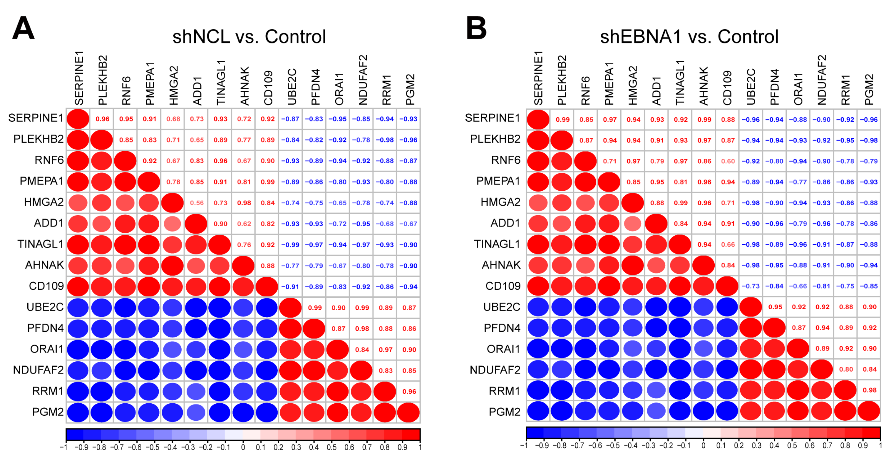 Biomolecules 14 01142 g005 Biomolecules 14 01142 g005