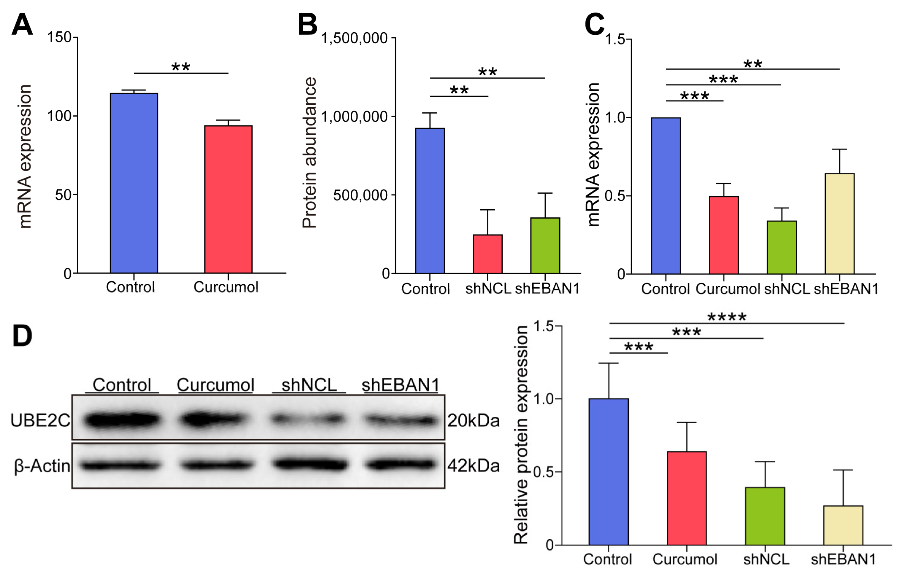 Biomolecules 14 01142 g009 Biomolecules 14 01142 g009
