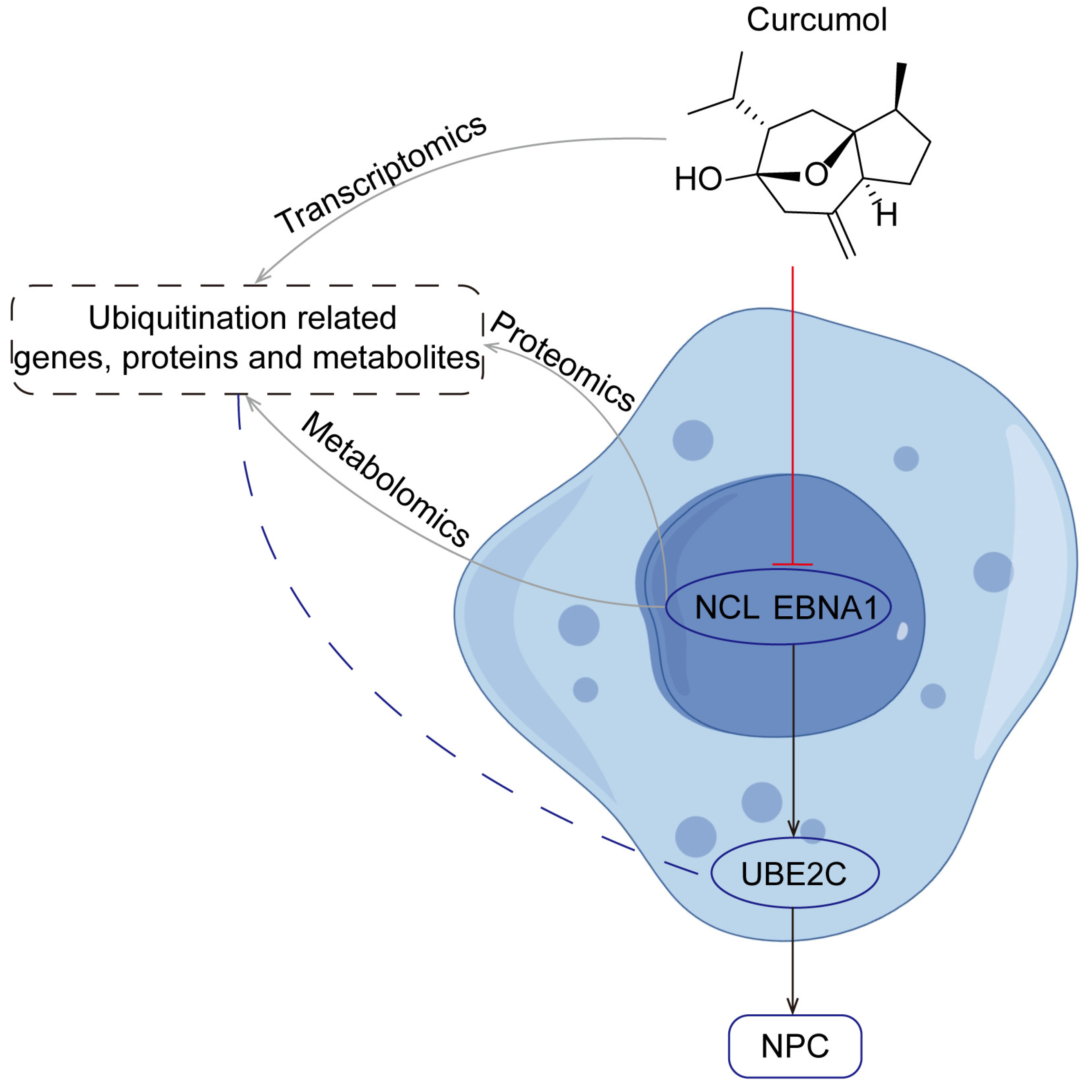 Biomolecules 14 01142 g011 Biomolecules 14 01142 g011
