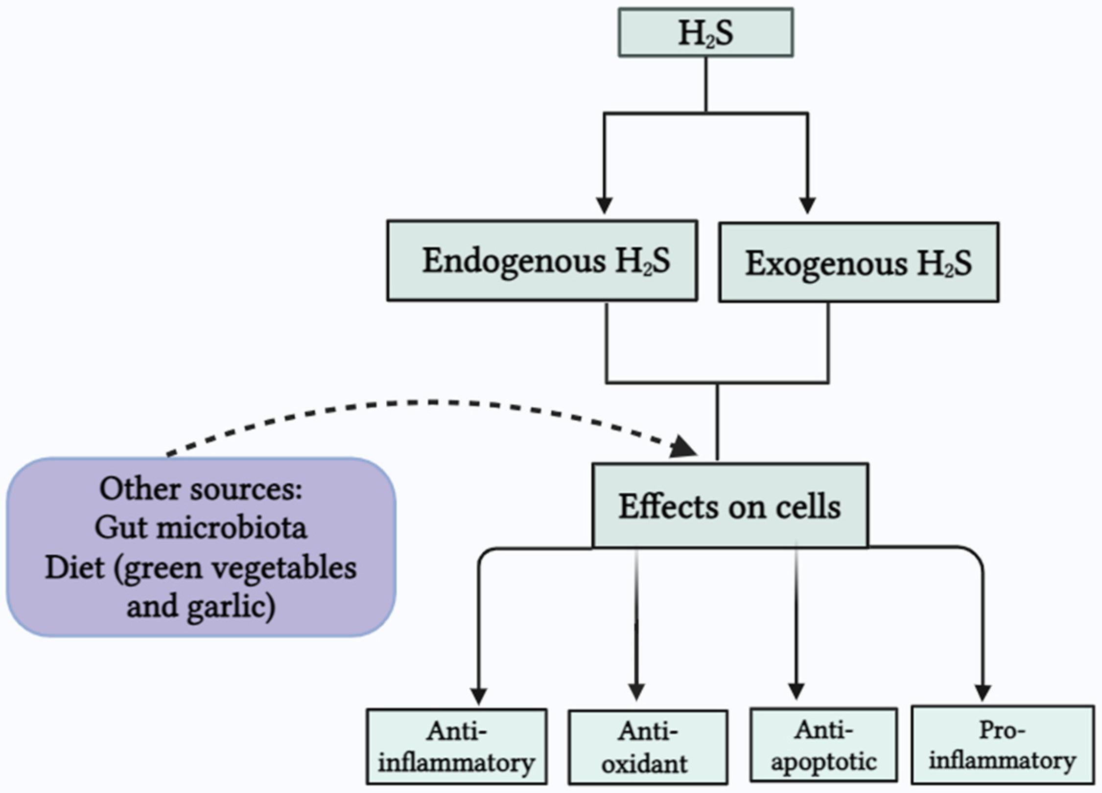 Biomolecules 14 01145 g002