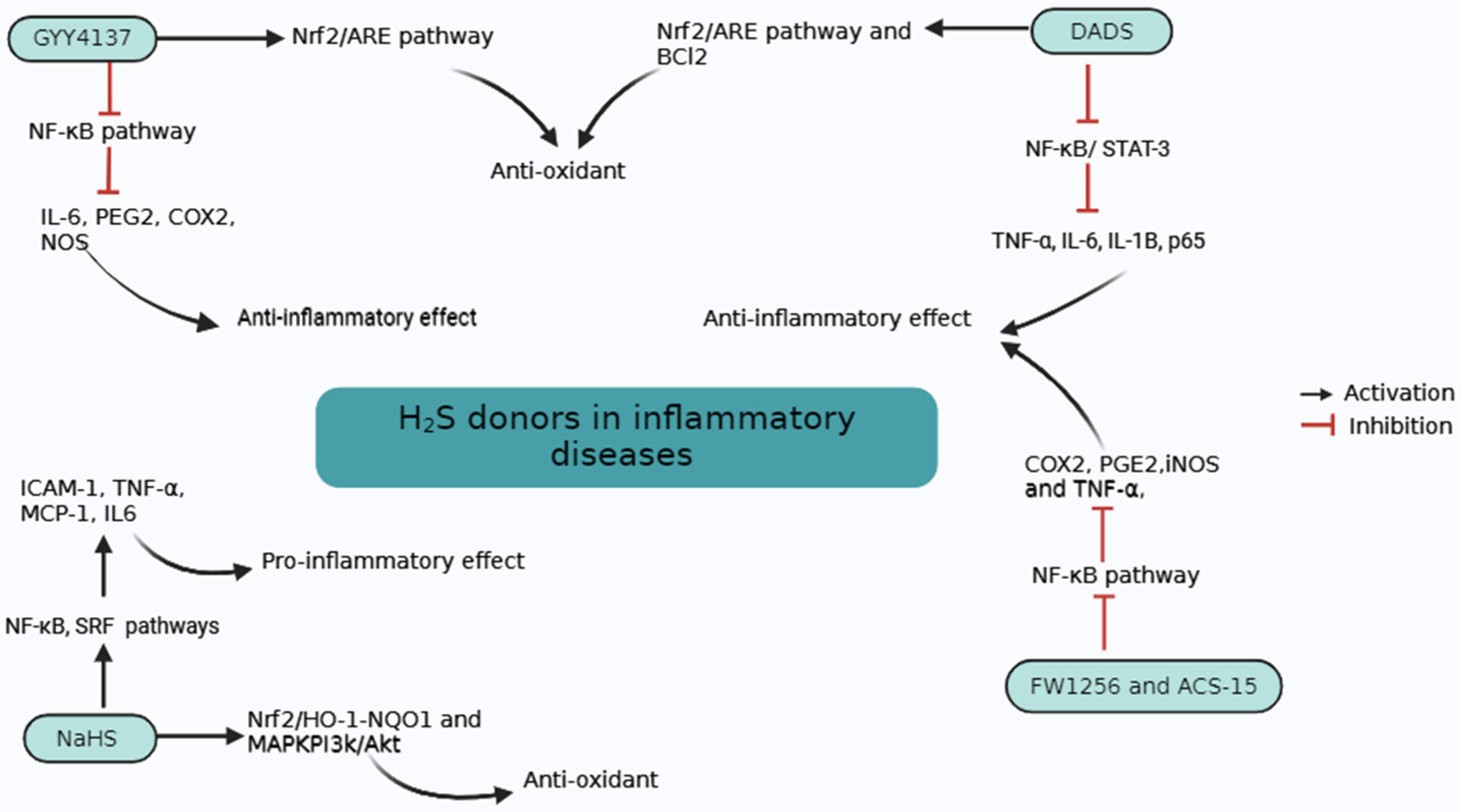 Biomolecules 14 01145 g003