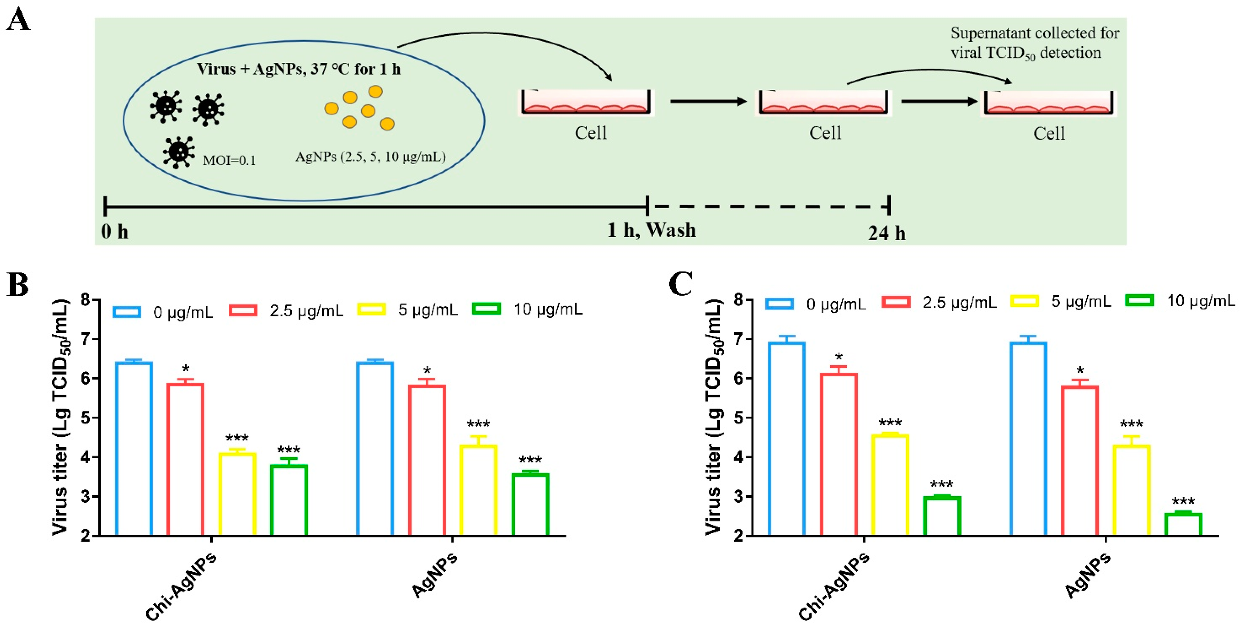 Biomolecules 14 01152 g004