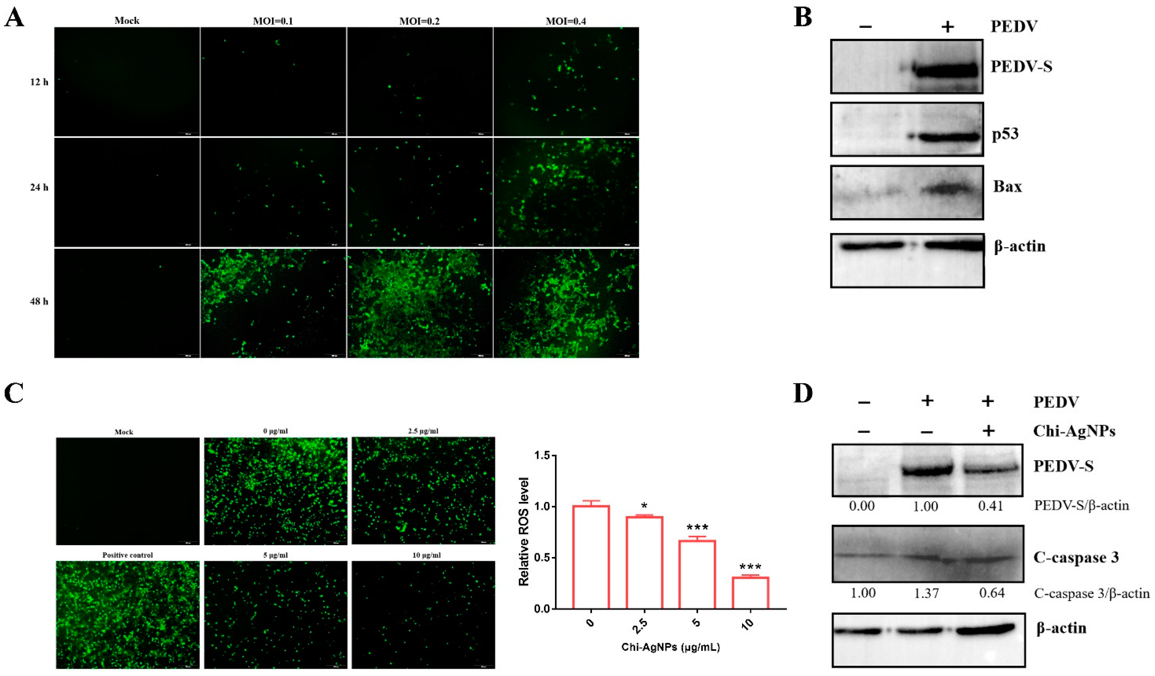 Biomolecules 14 01152 g008