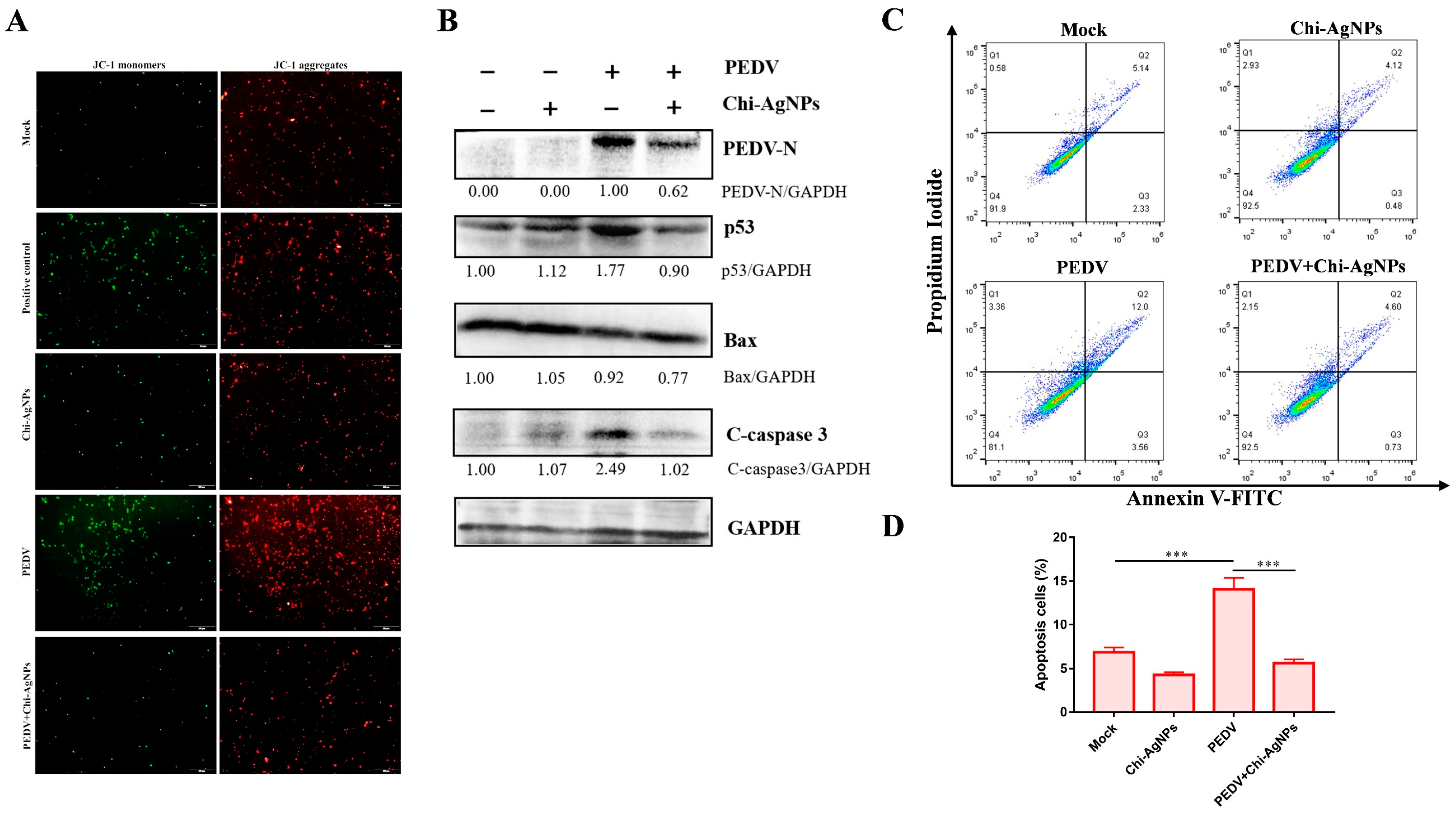 Biomolecules 14 01152 g009