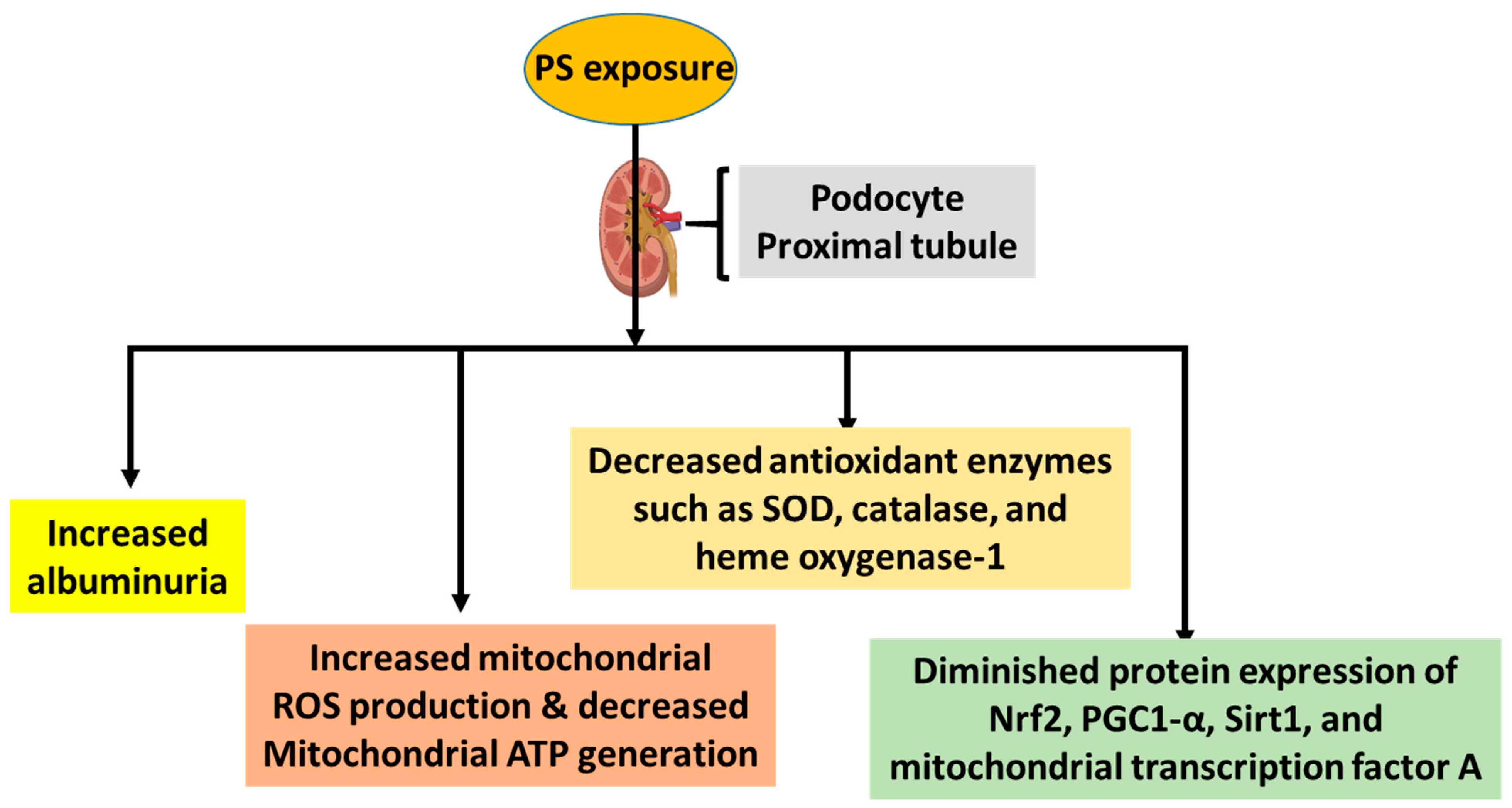 Biomolecules 14 01153 g002
