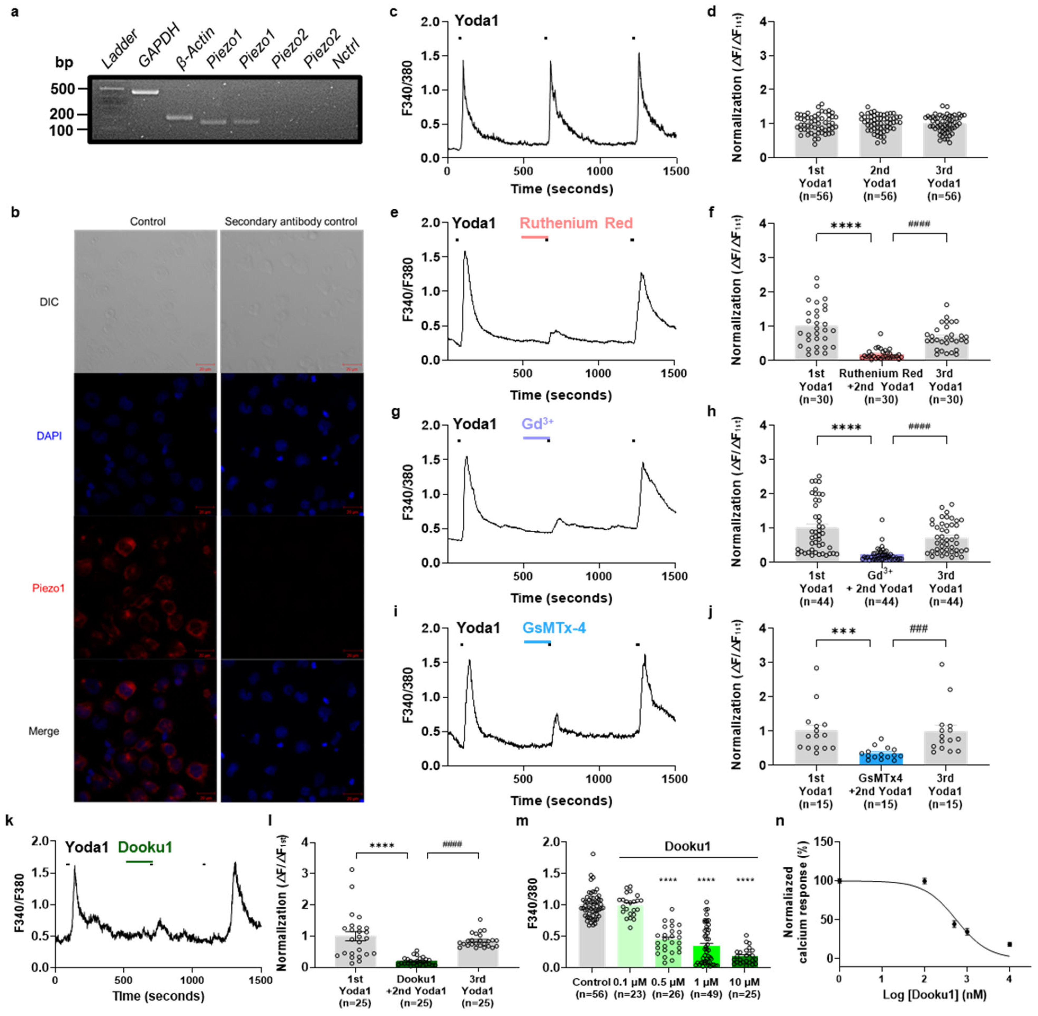 Biomolecules 14 01157 g001