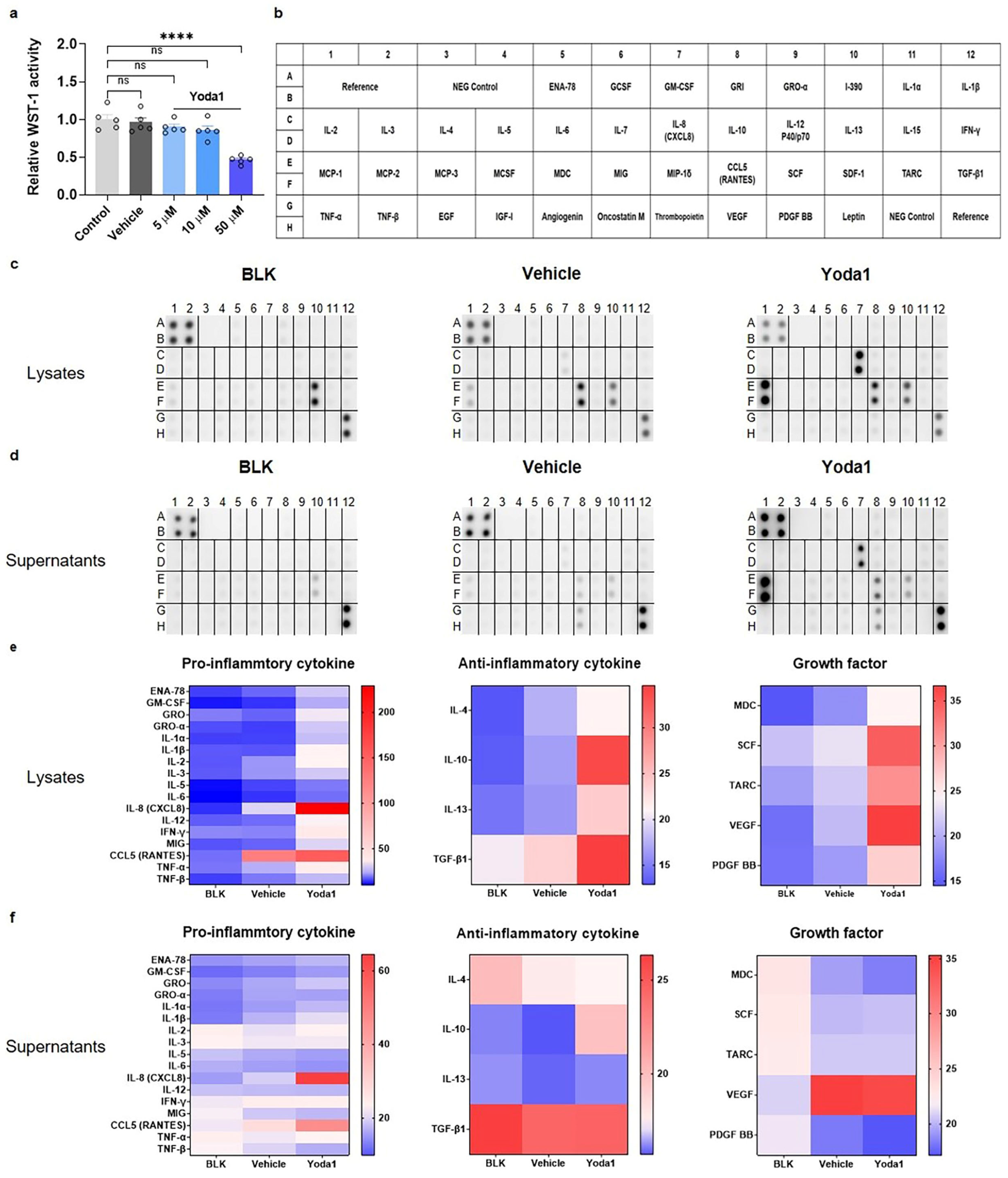 Biomolecules 14 01157 g002