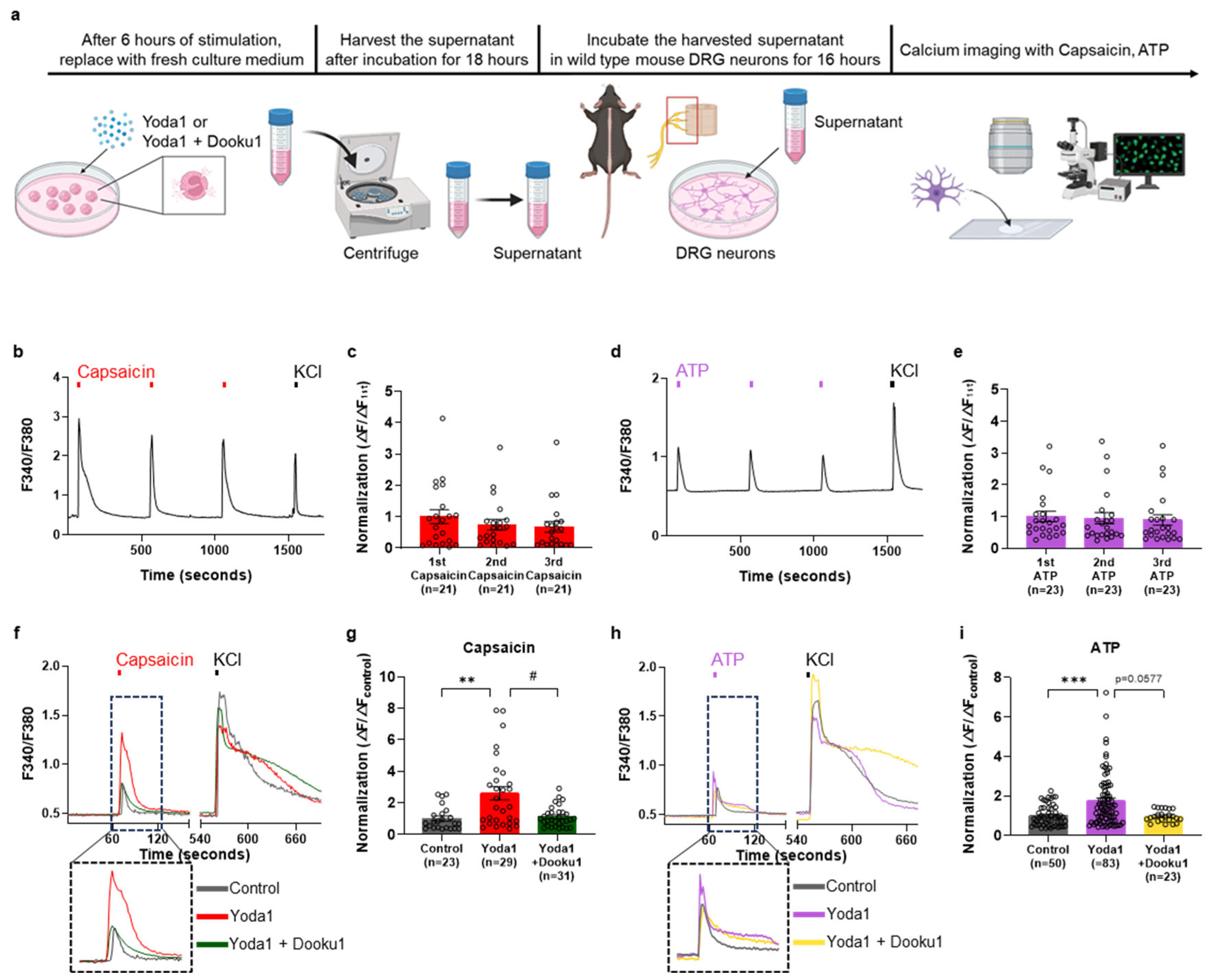 Biomolecules 14 01157 g004