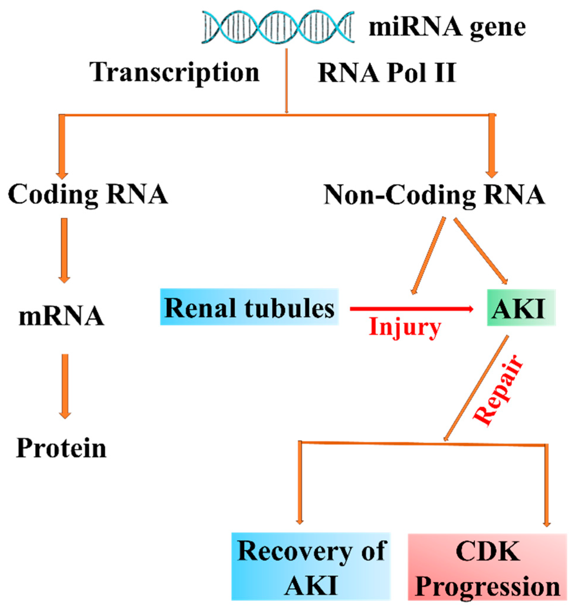 Biomolecules 14 01165 g004
