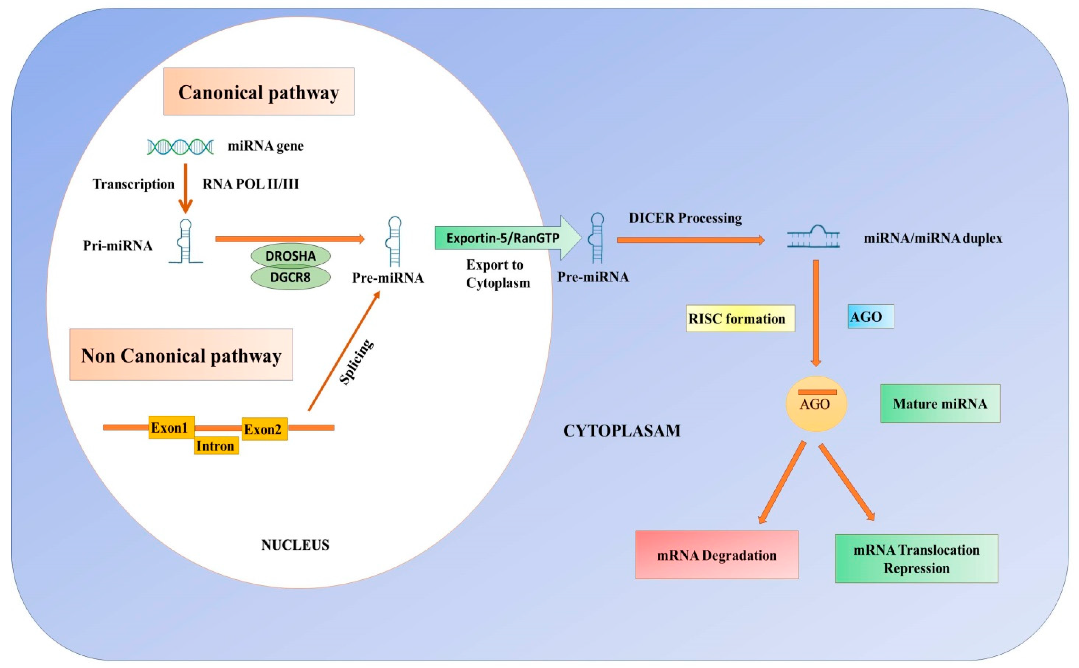 Biomolecules 14 01165 g005