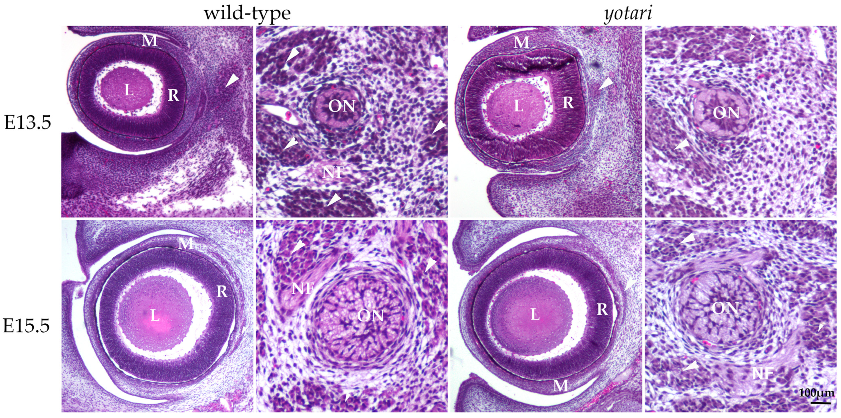 Biomolecules 14 01174 g001