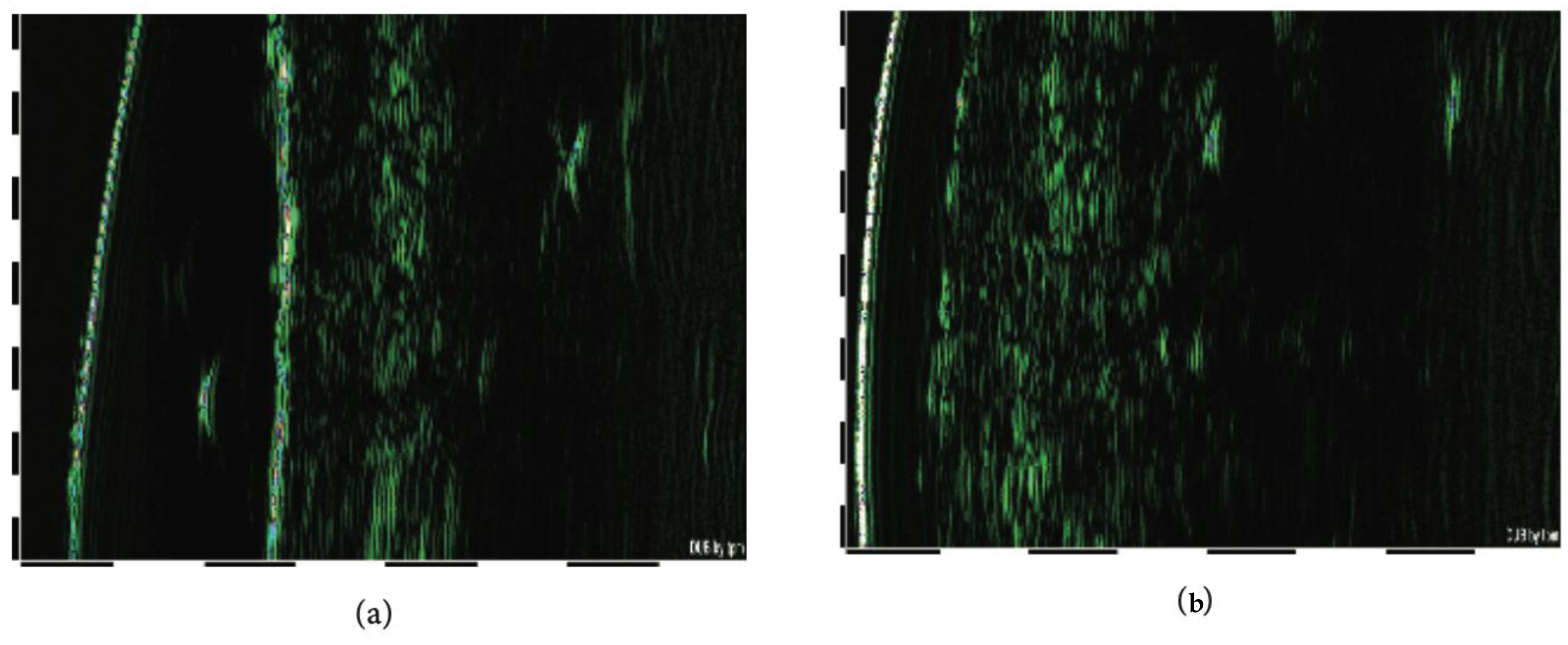 Biomolecules 14 01176 g005 Biomolecules 14 01176 g005