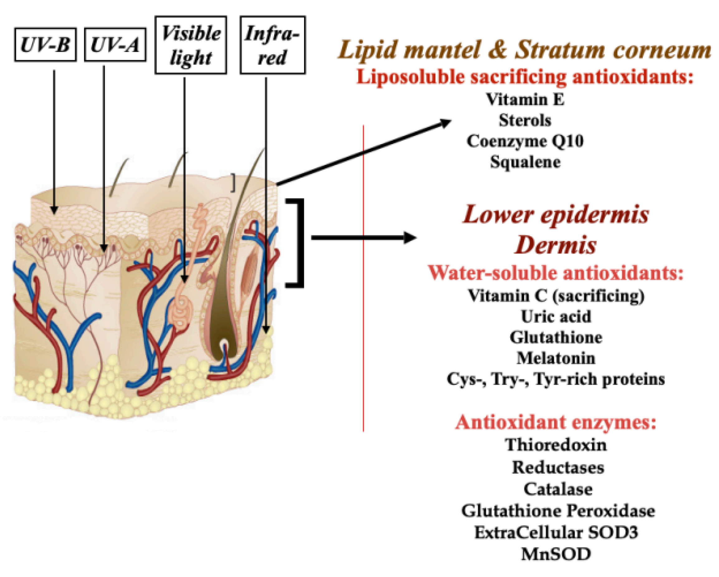 Biomolecules 14 01176 g008 Biomolecules 14 01176 g008