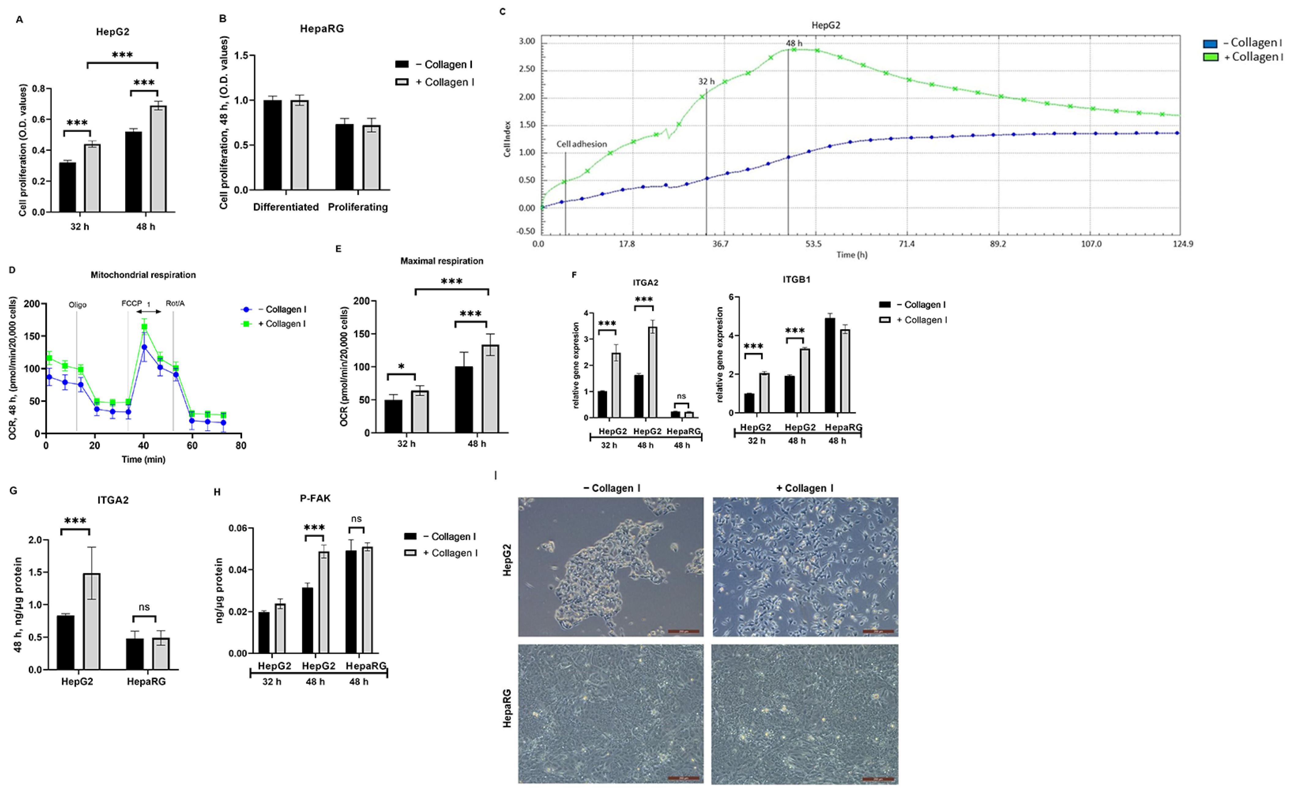Biomolecules 14 01179 g001