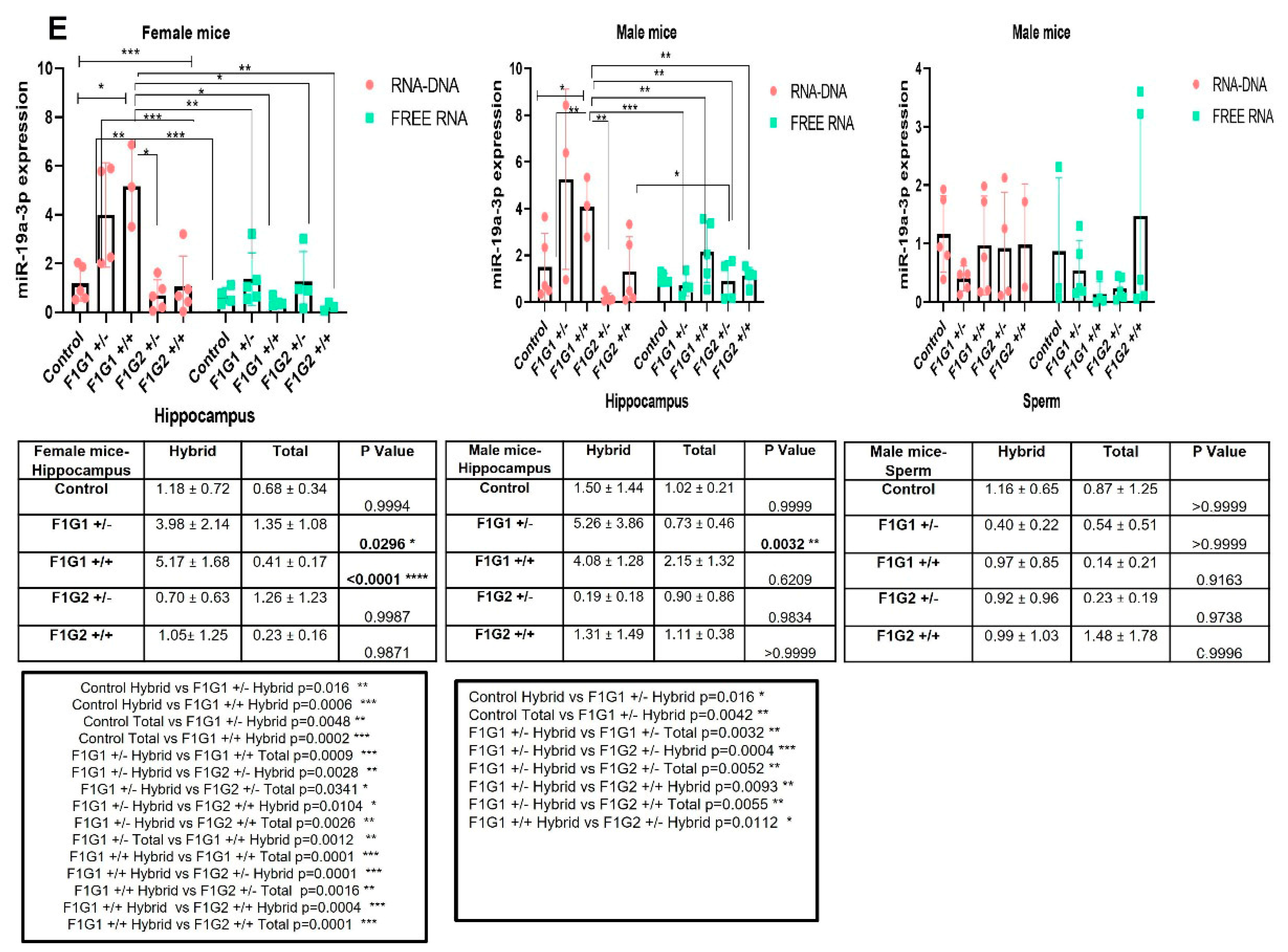 Biomolecules 14 01183 g002c