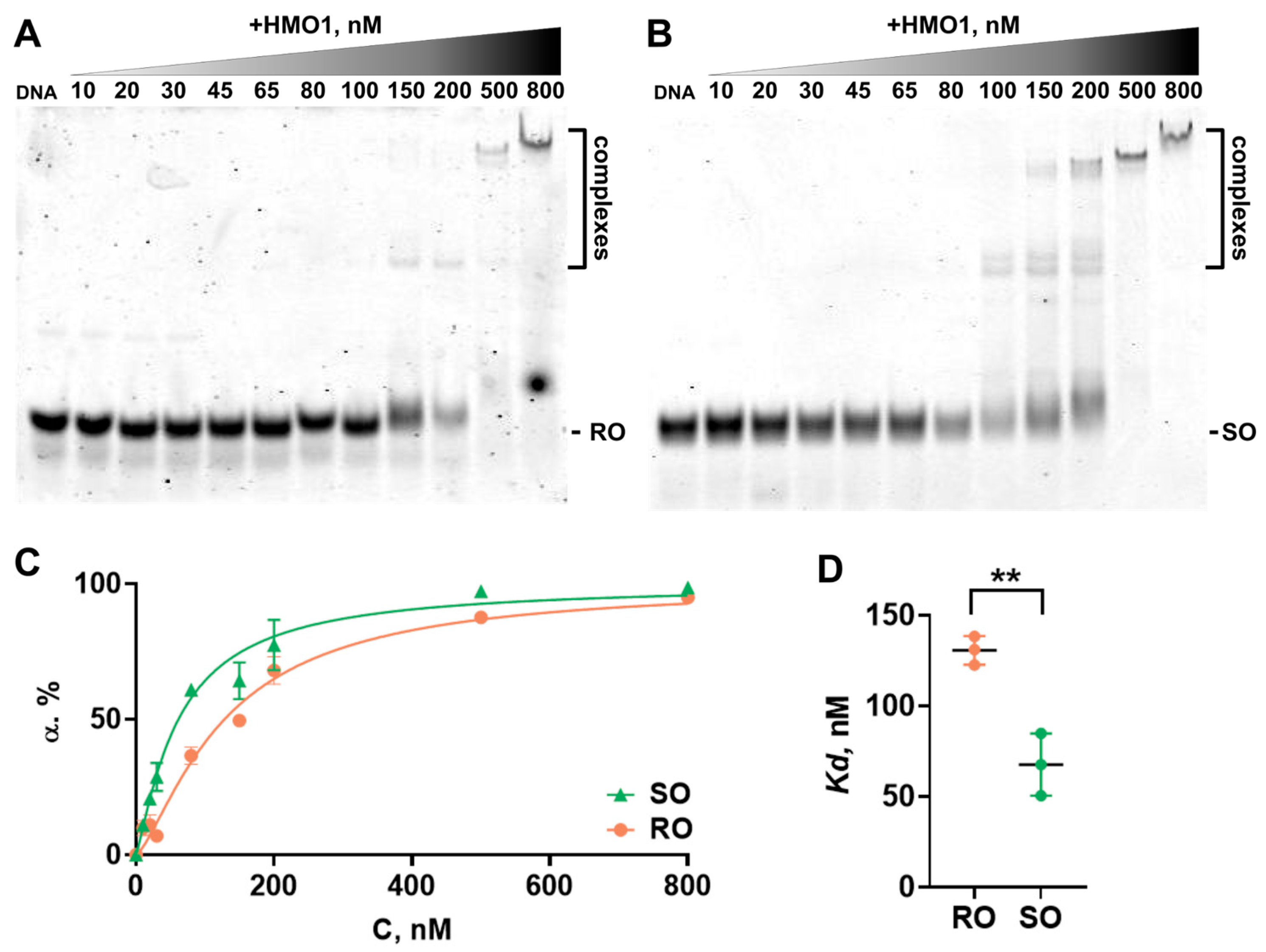 Biomolecules 14 01184 g005