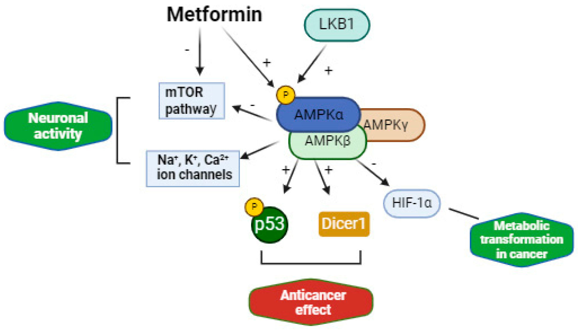Biomolecules 14 01190 g002
