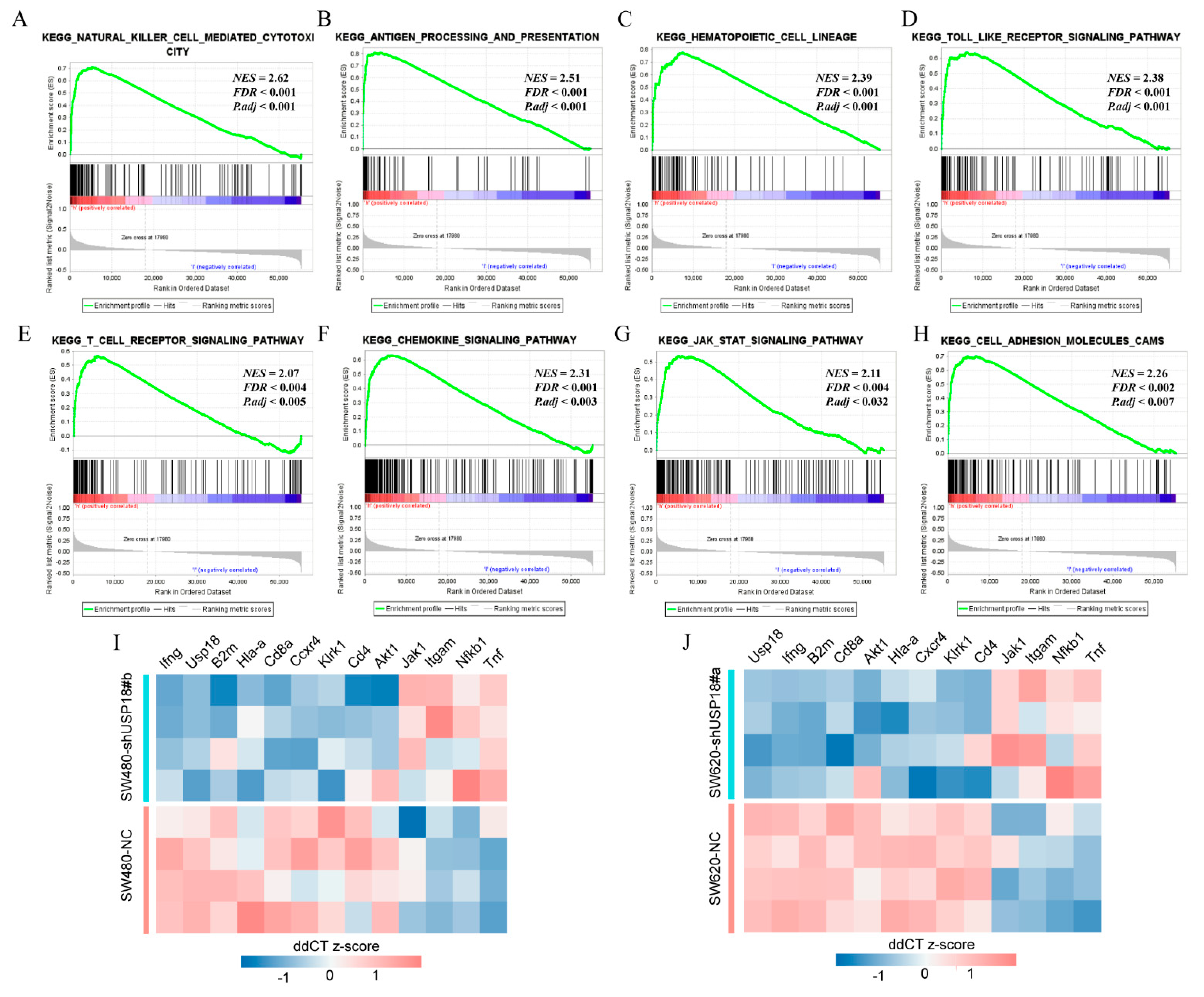 Biomolecules 14 01191 g004