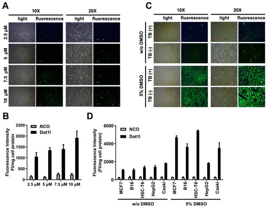 Biomolecules 14 01199 g002