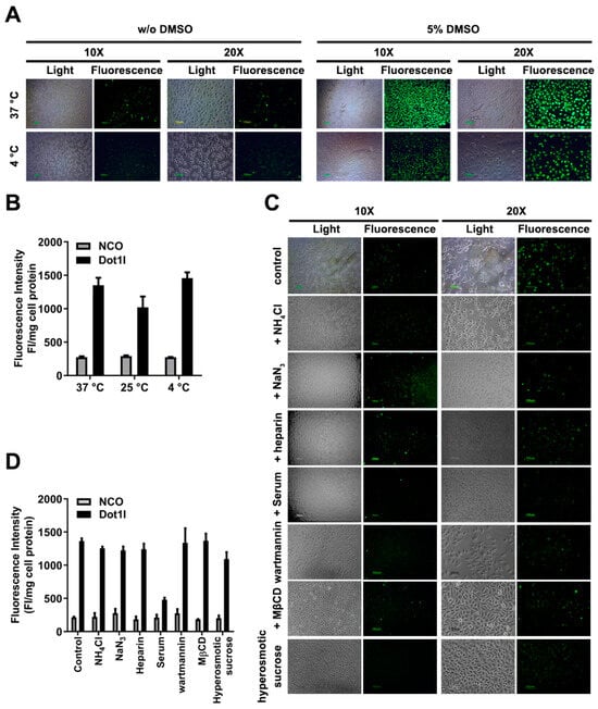 Biomolecules 14 01199 g003