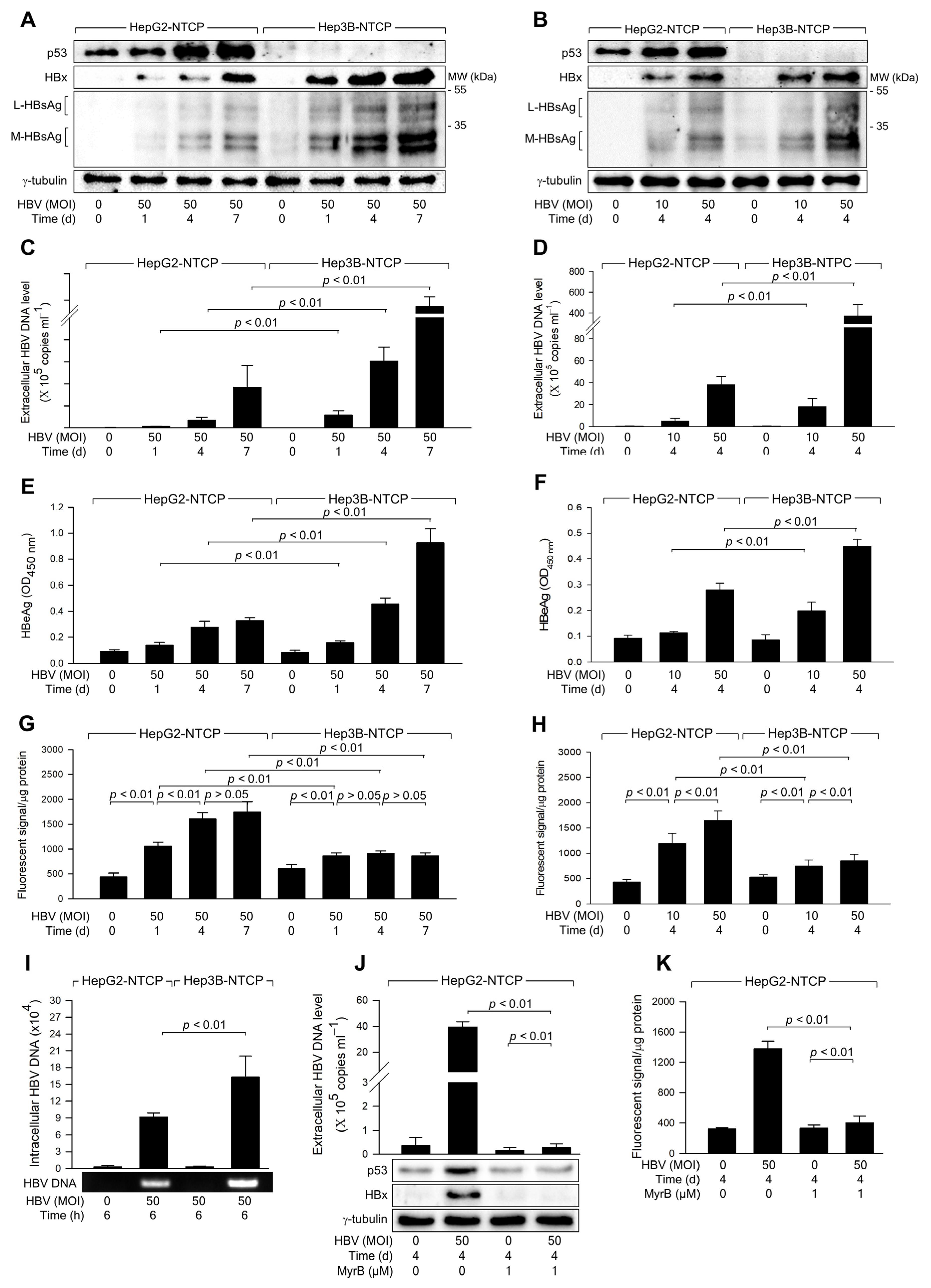 Biomolecules 14 01201 g001