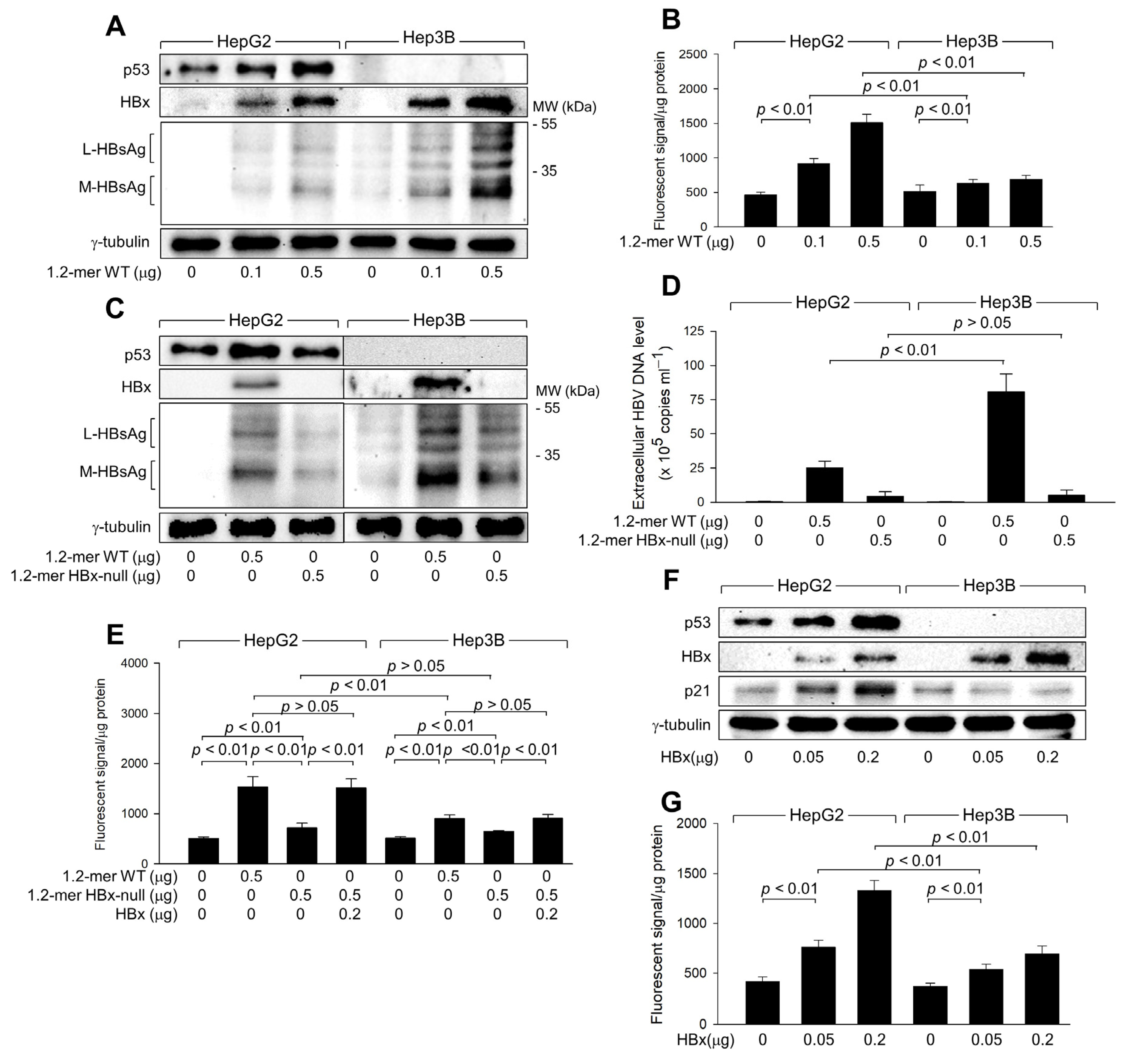 Biomolecules 14 01201 g002
