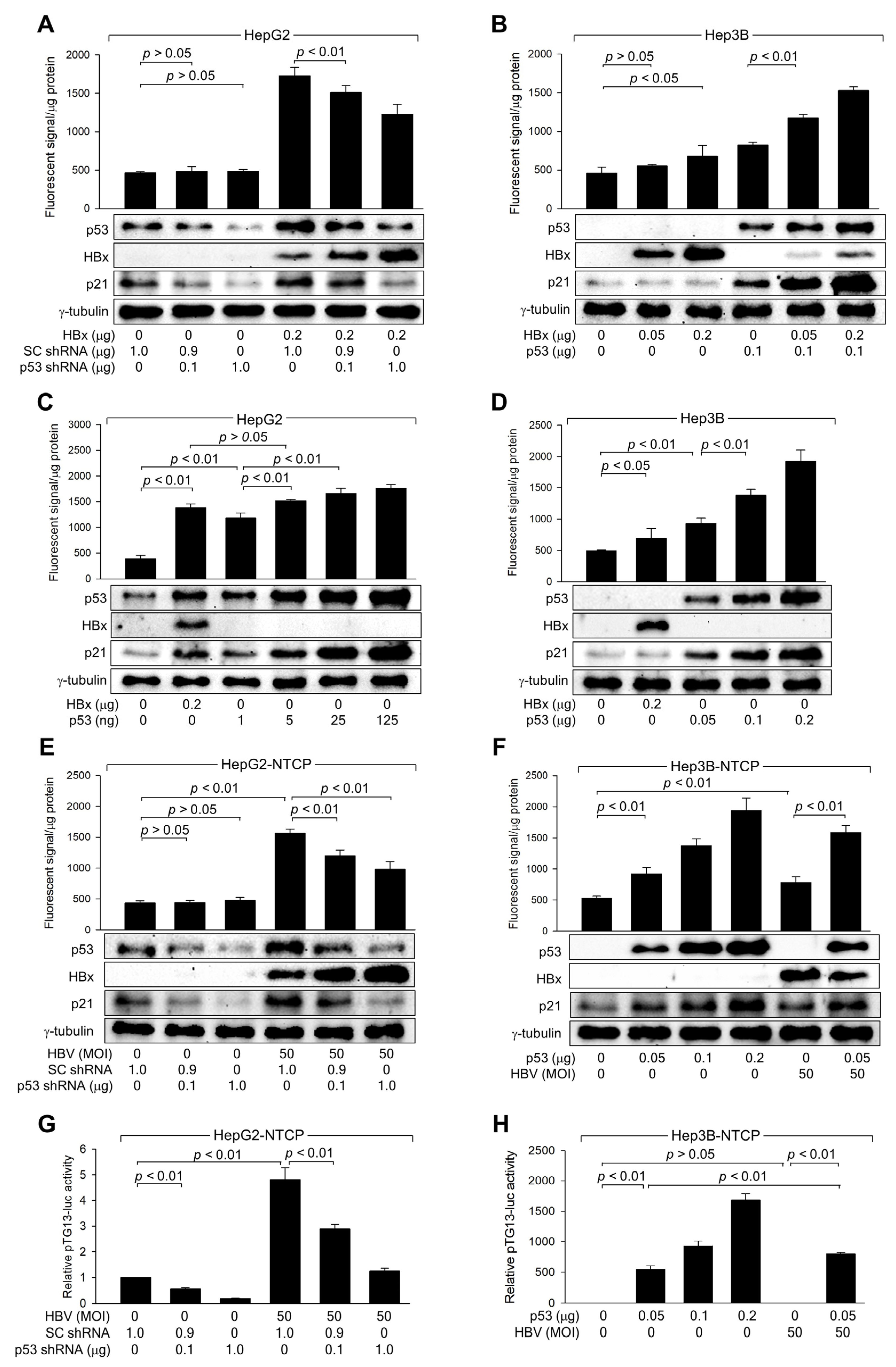 Biomolecules 14 01201 g003
