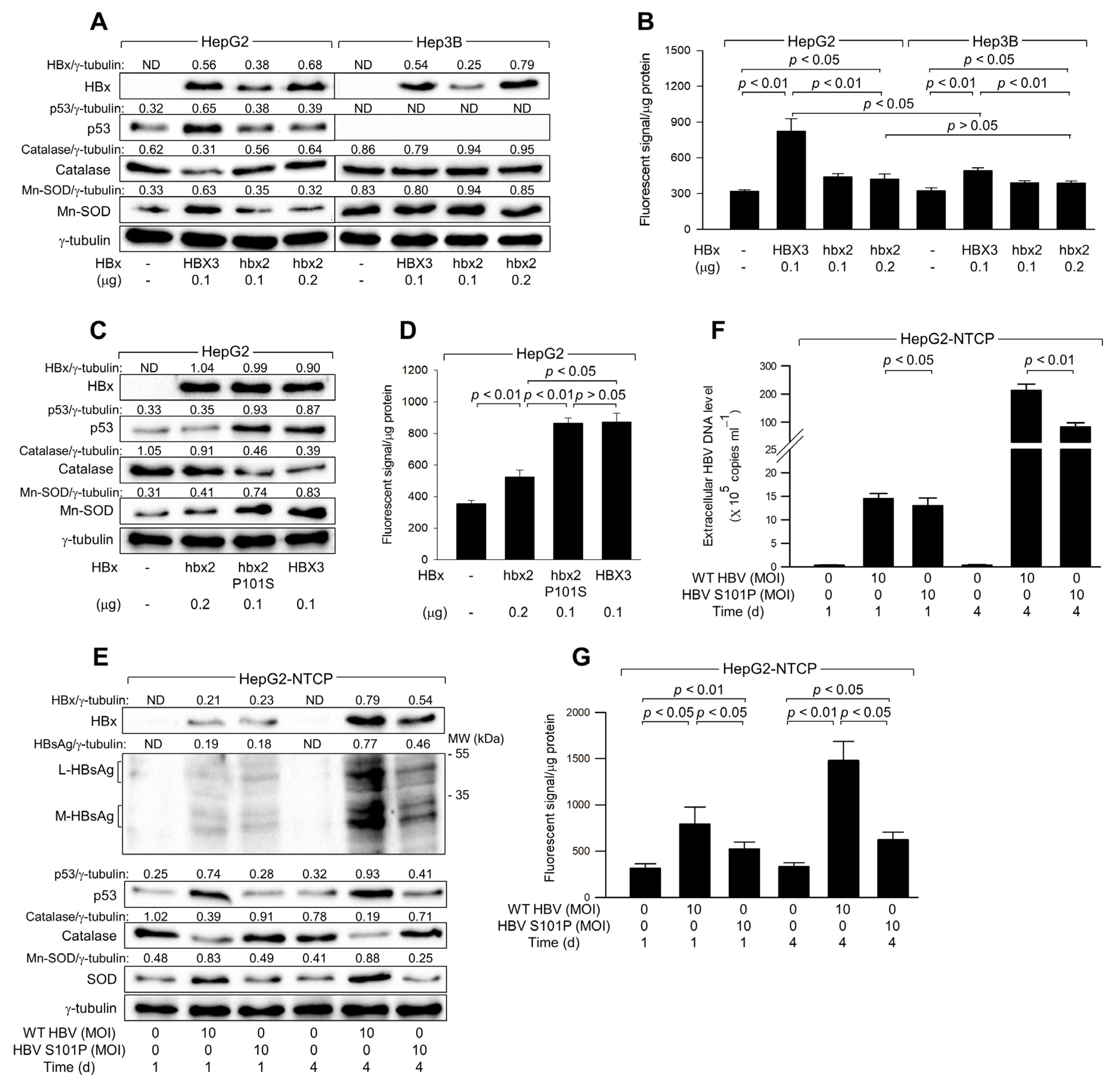 Biomolecules 14 01201 g006