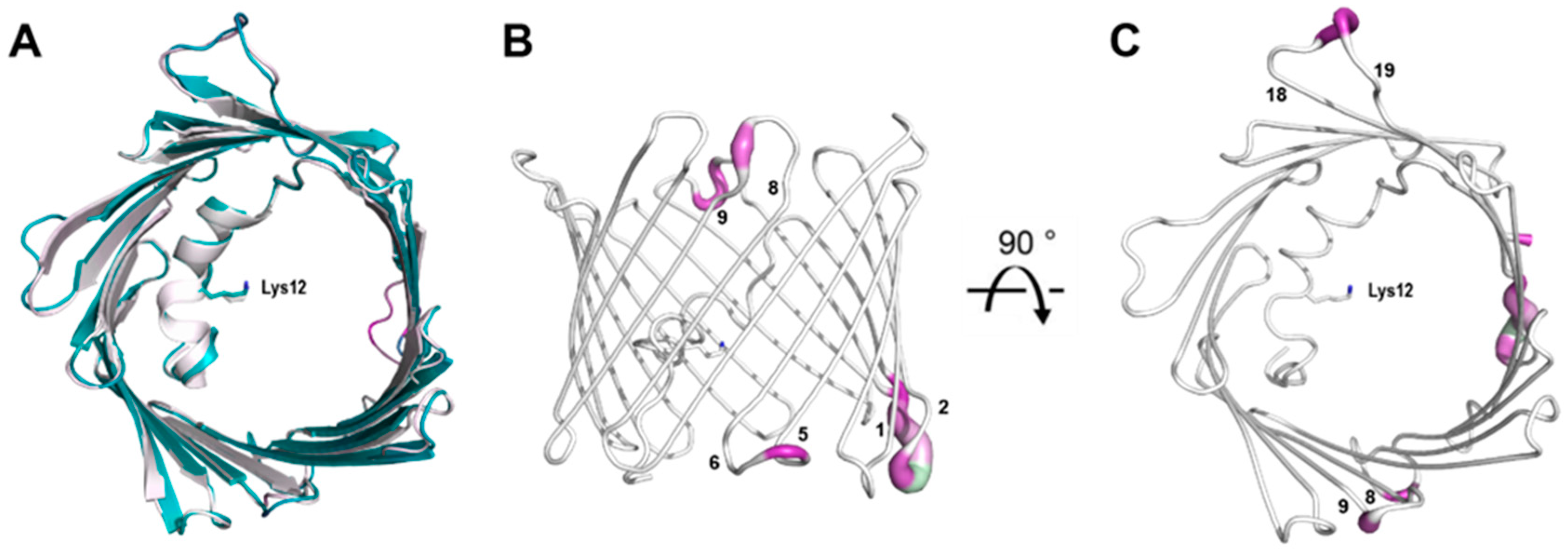 Biomolecules 14 01203 g004