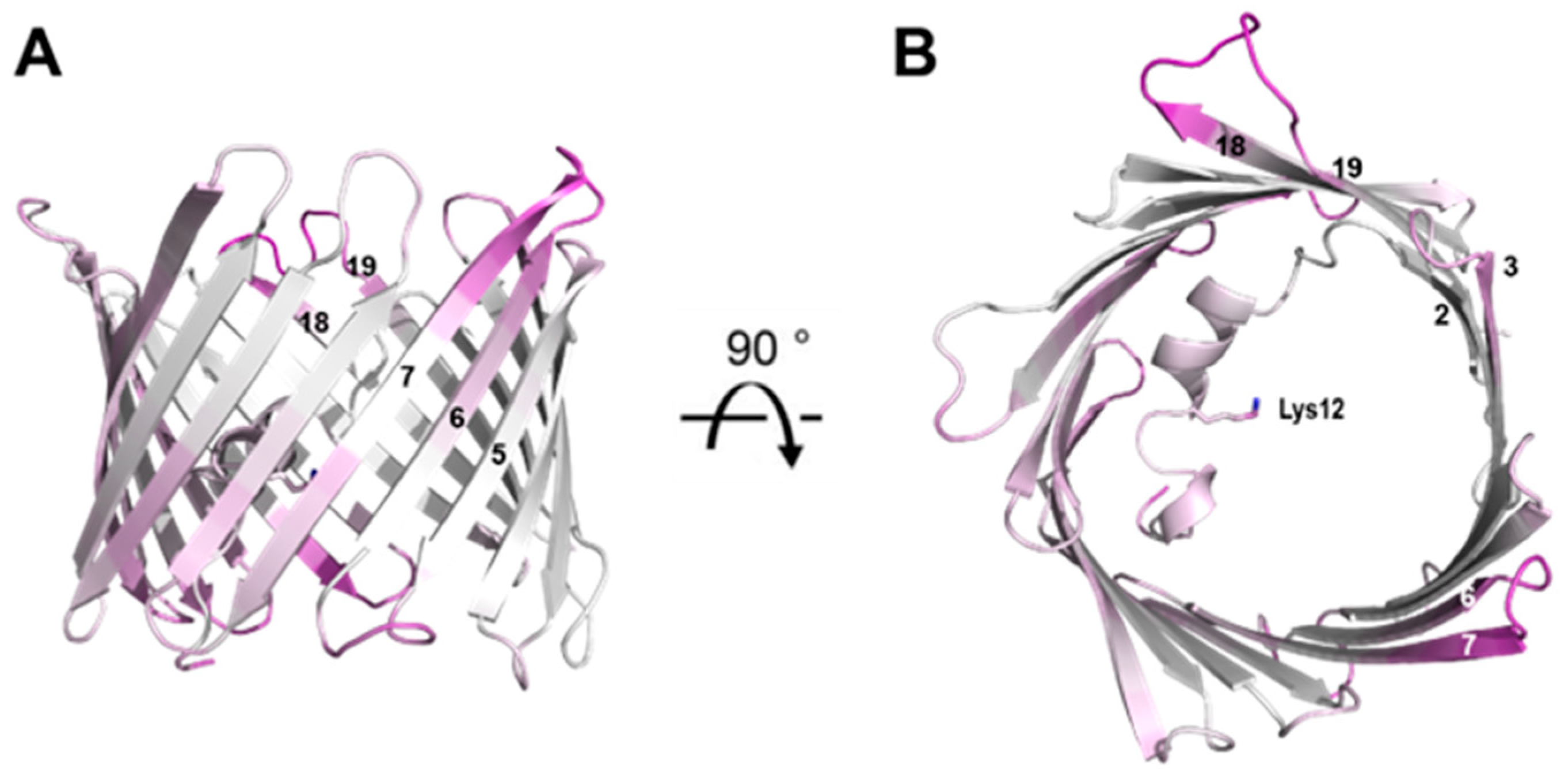 Biomolecules 14 01203 g007