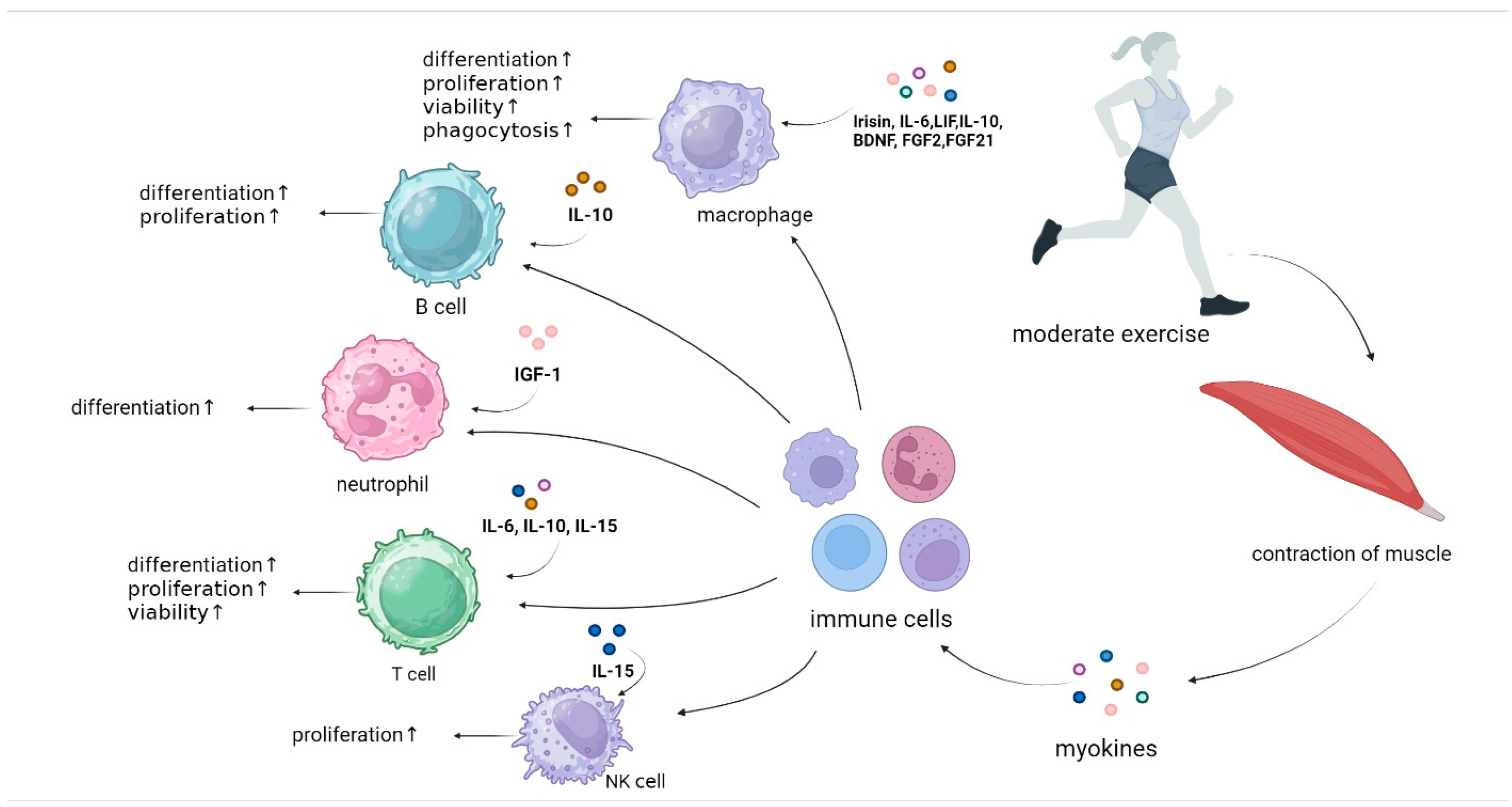 Biomolecules 14 01205 g001