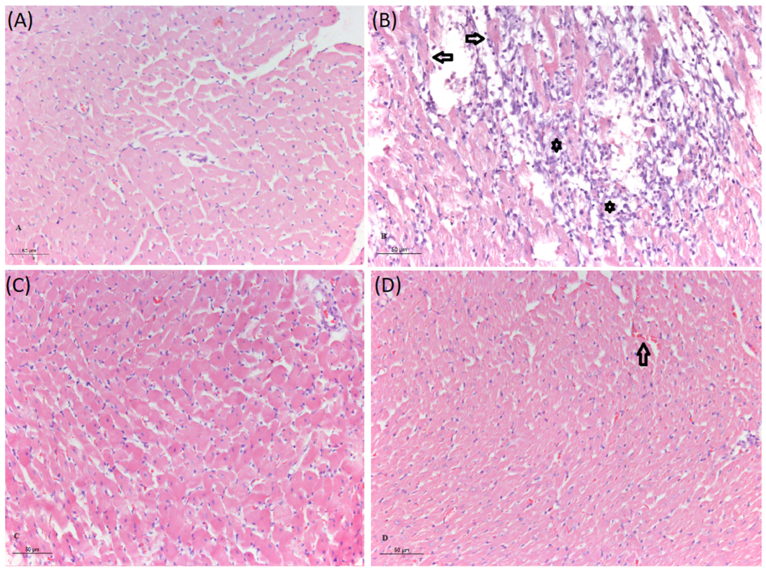 Biomolecules 14 01214 g006