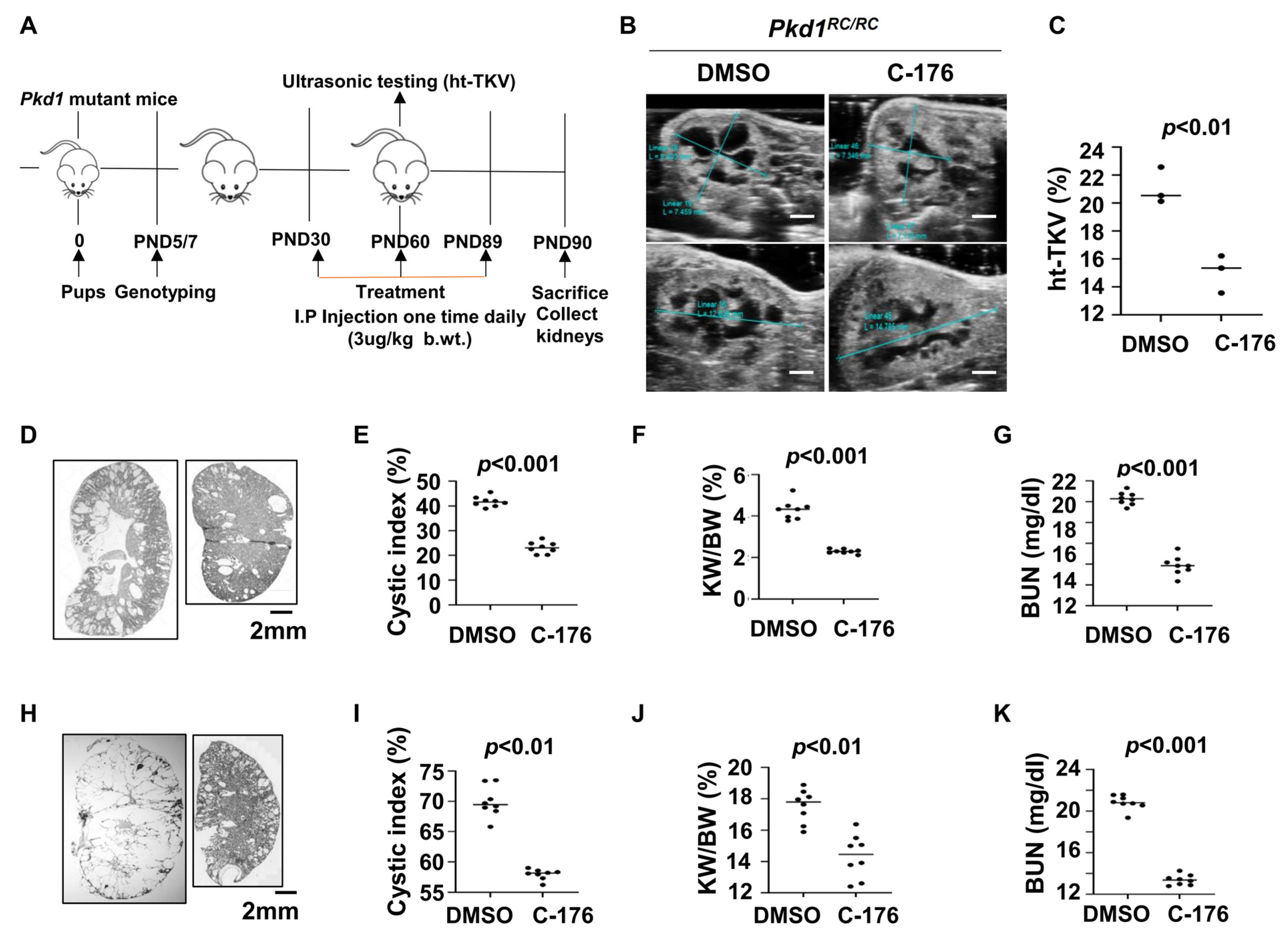 Biomolecules 14 01215 g002