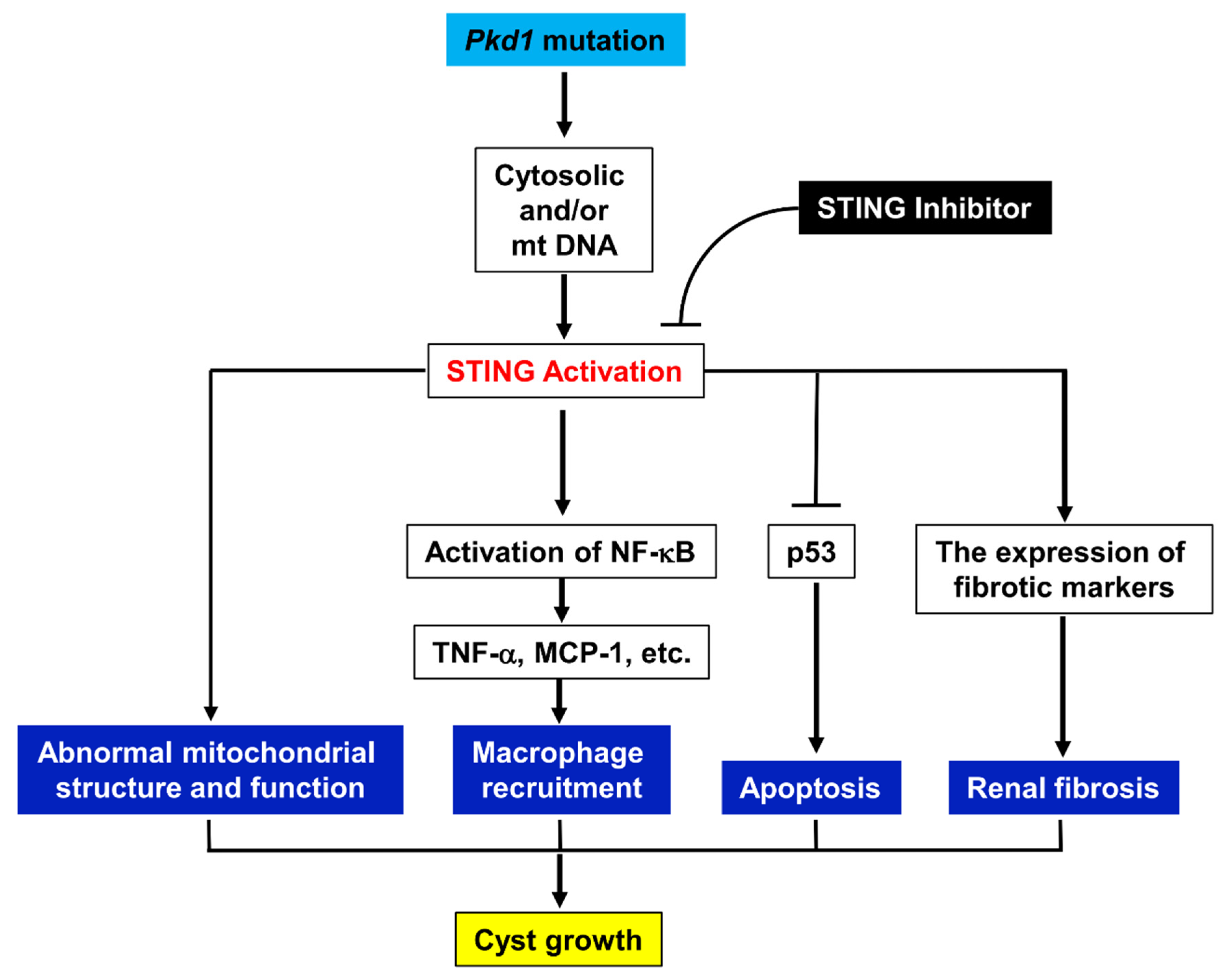 Biomolecules 14 01215 g009