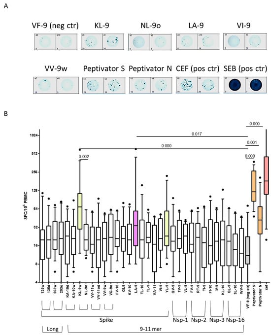 Biomolecules 14 01217 g002