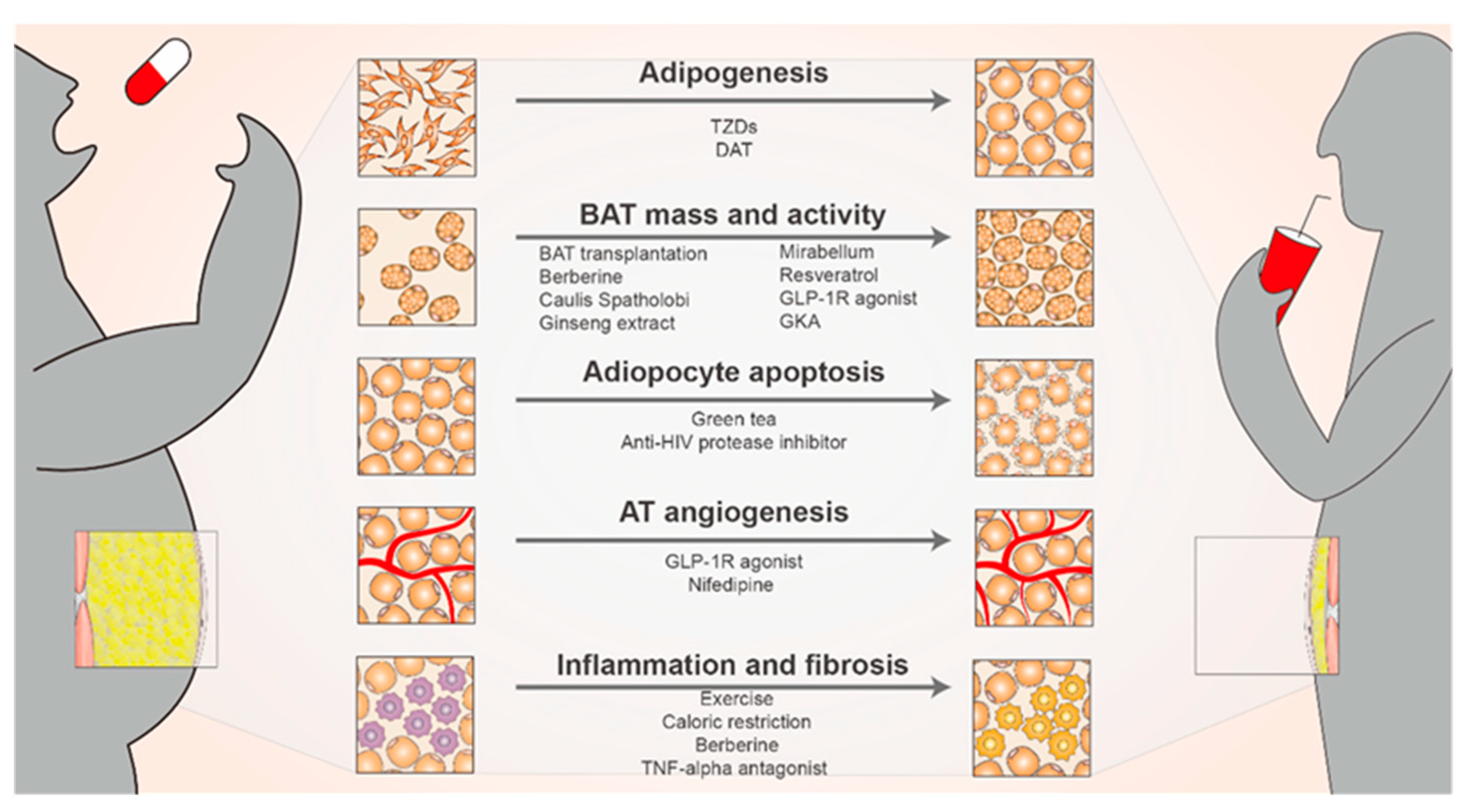 Biomolecules 14 01223 g006 Biomolecules 14 01223 g006