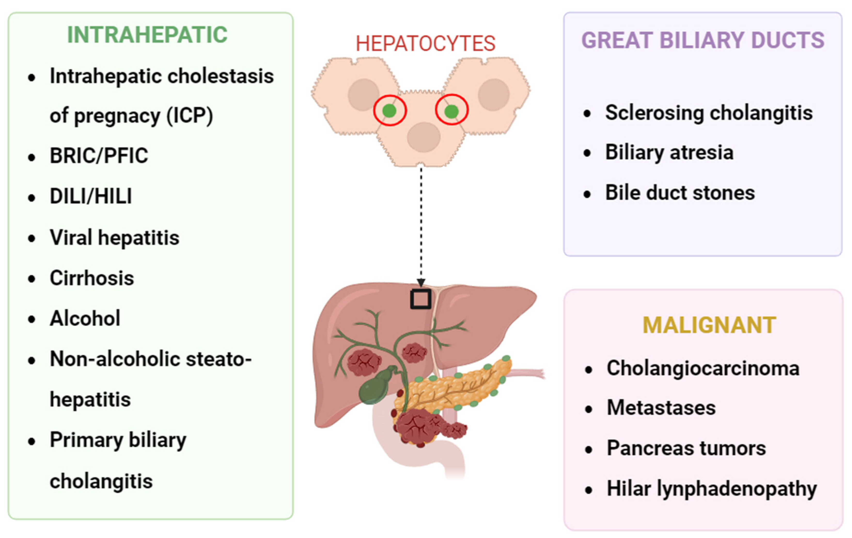 Biomolecules 14 01227 g002