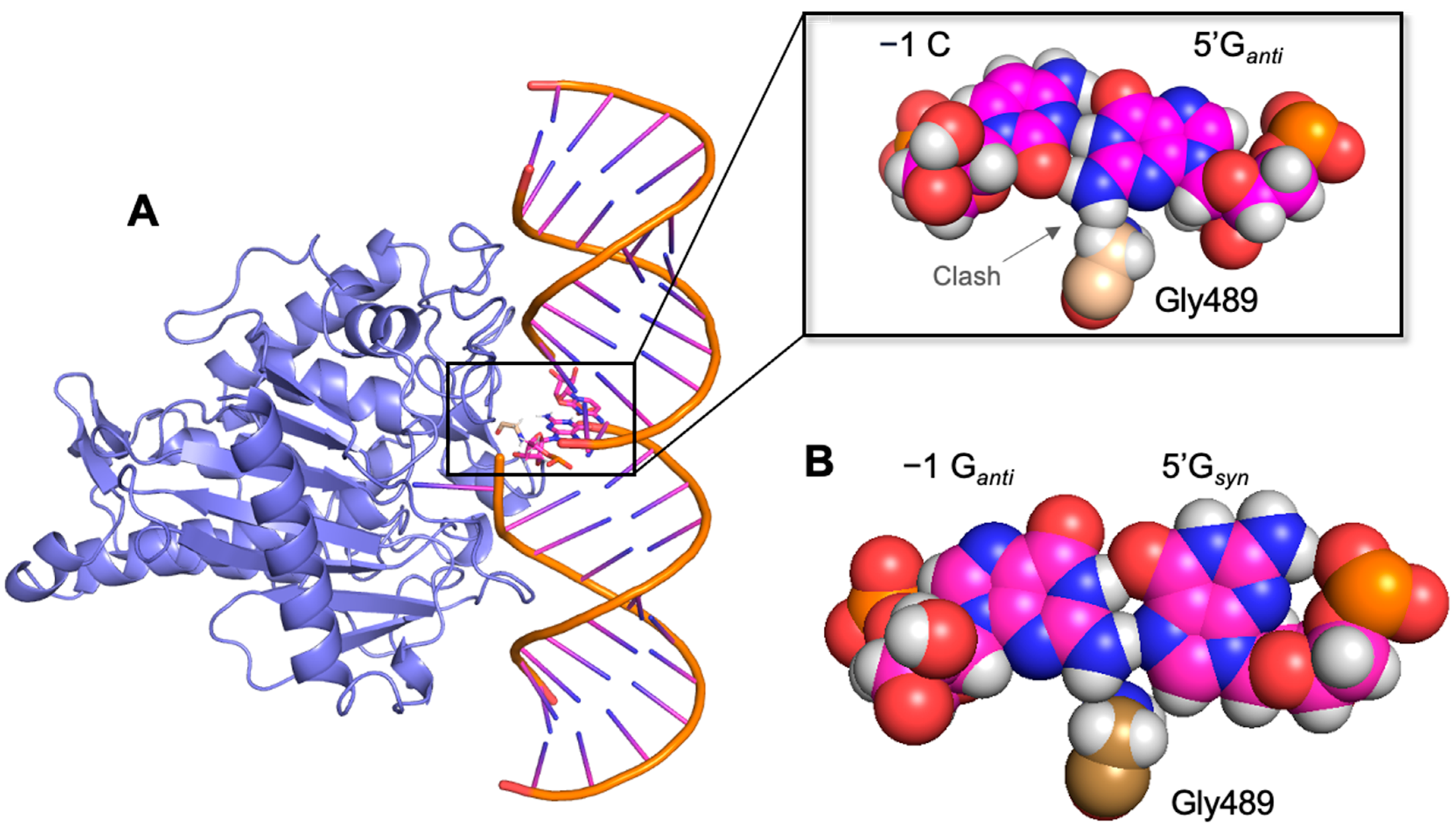 Biomolecules 14 01229 g001