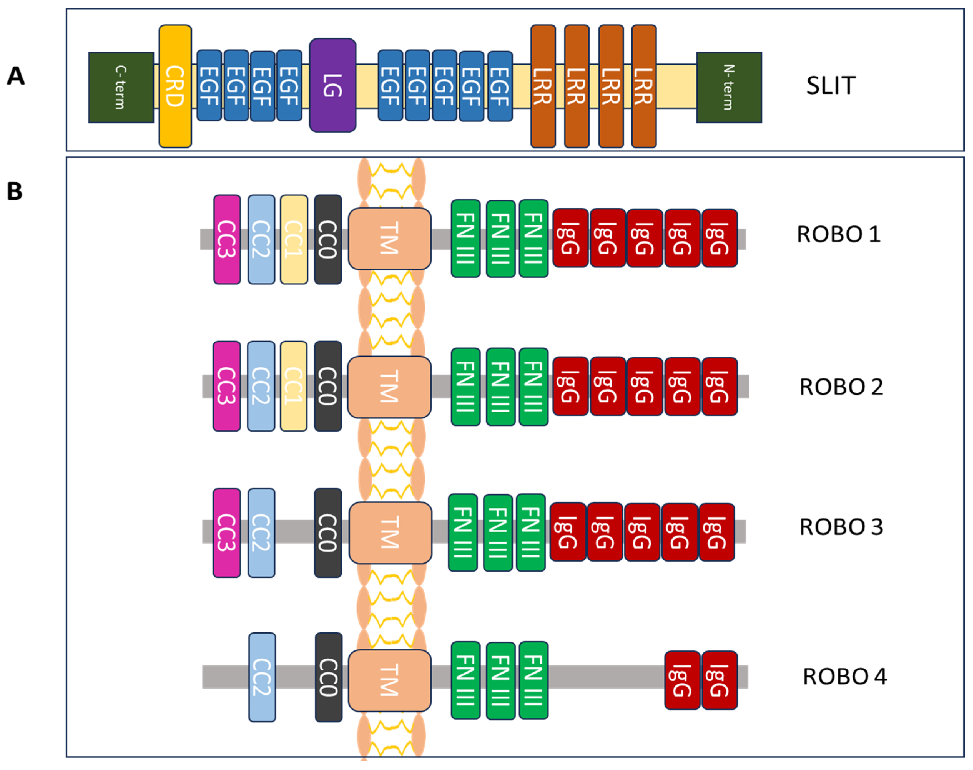 Biomolecules 14 01231 g001