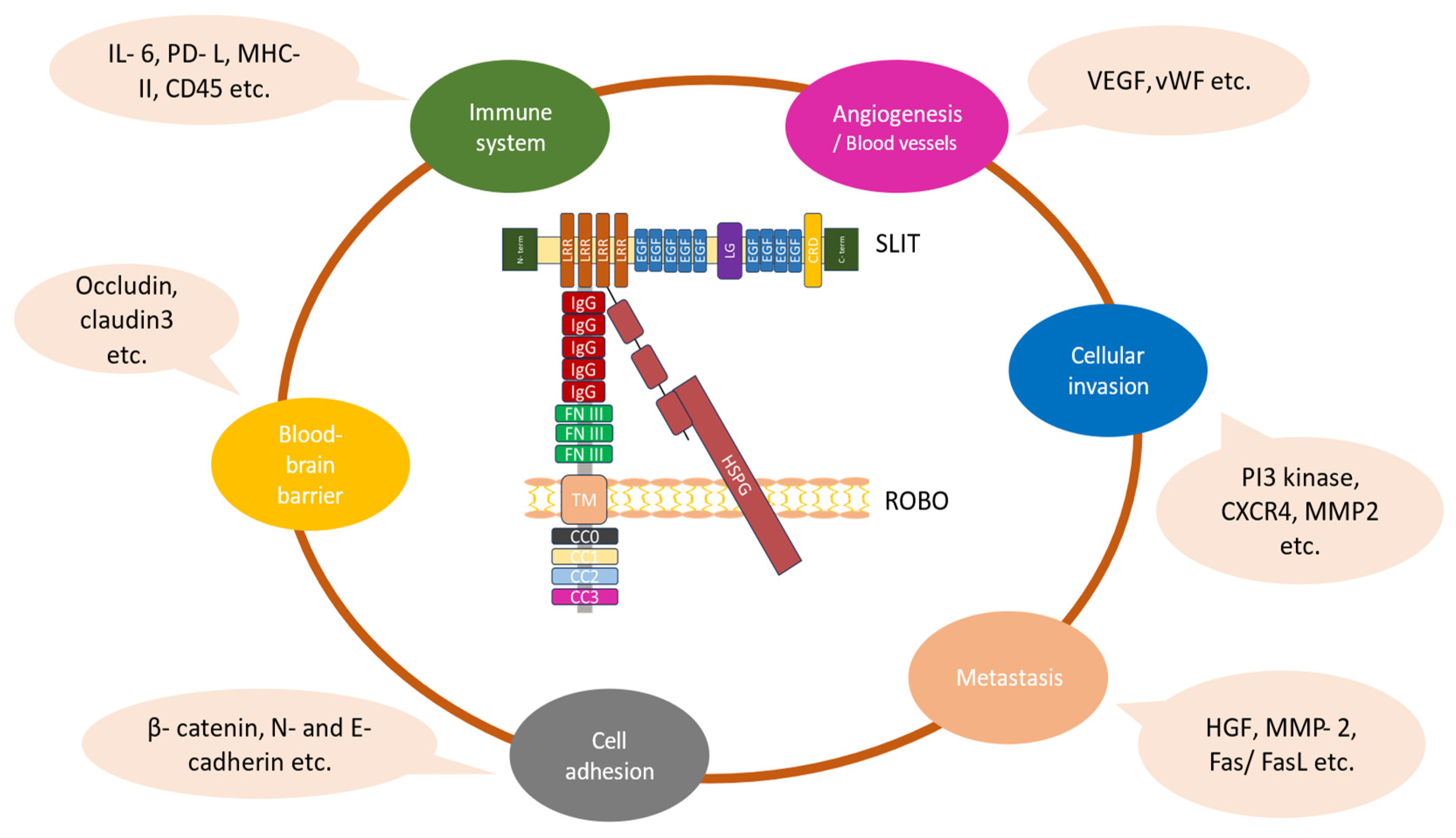 Biomolecules 14 01231 g002