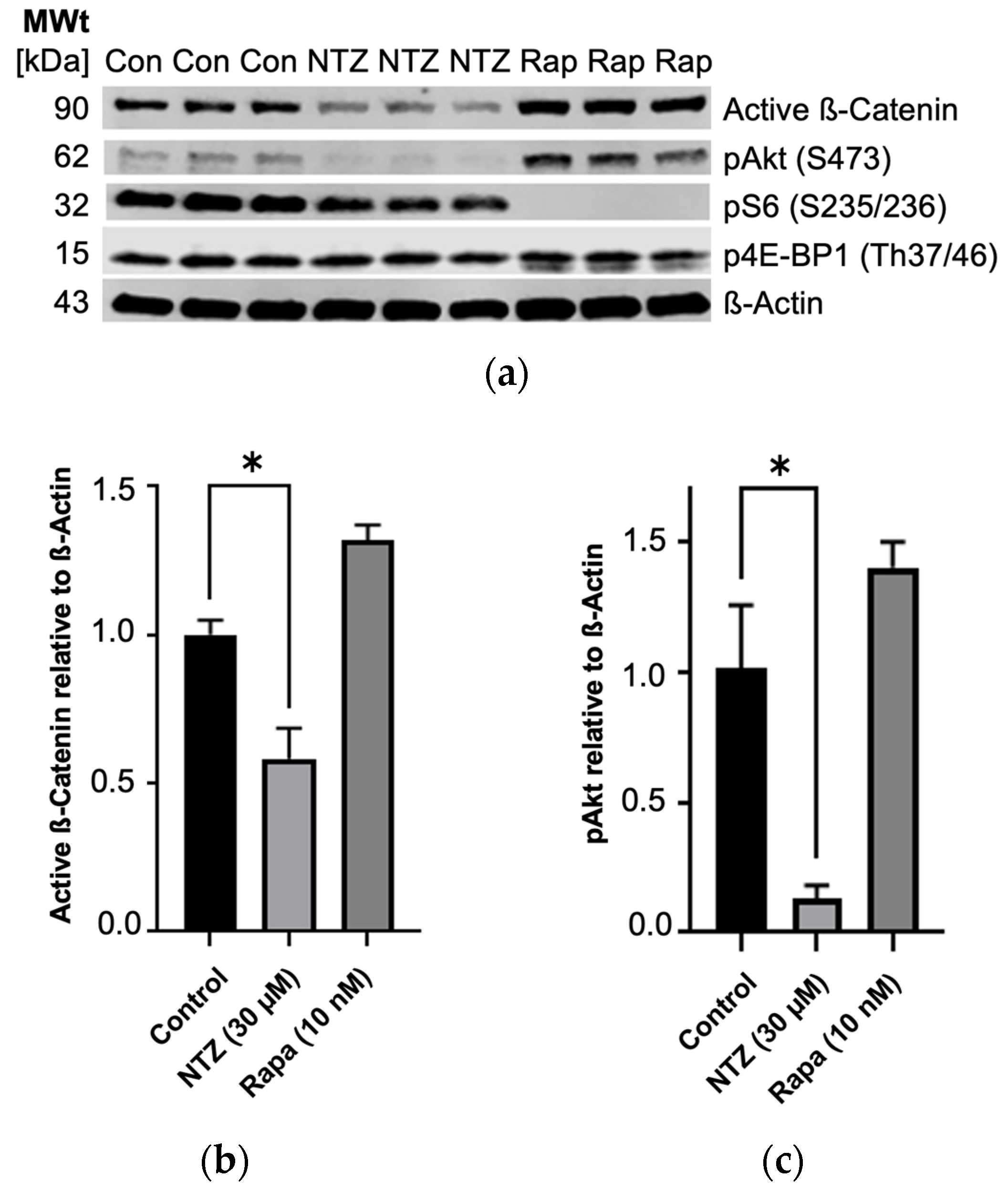 Biomolecules 14 01236 g003