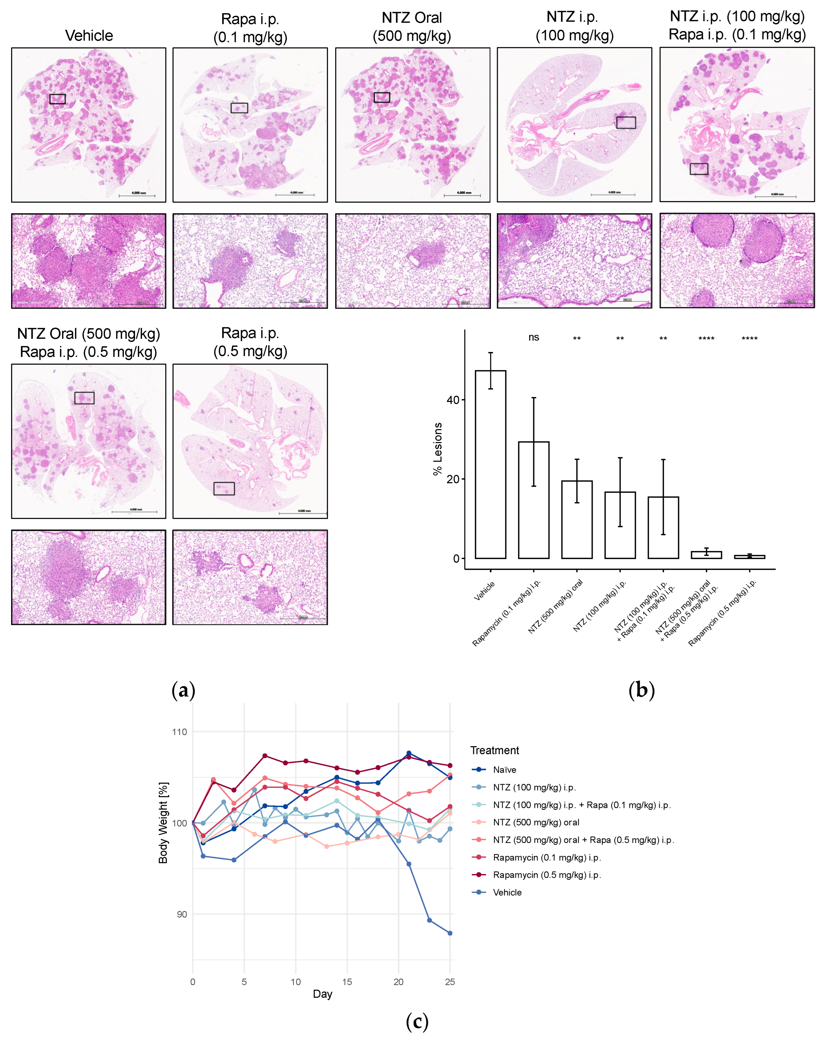Biomolecules 14 01236 g005