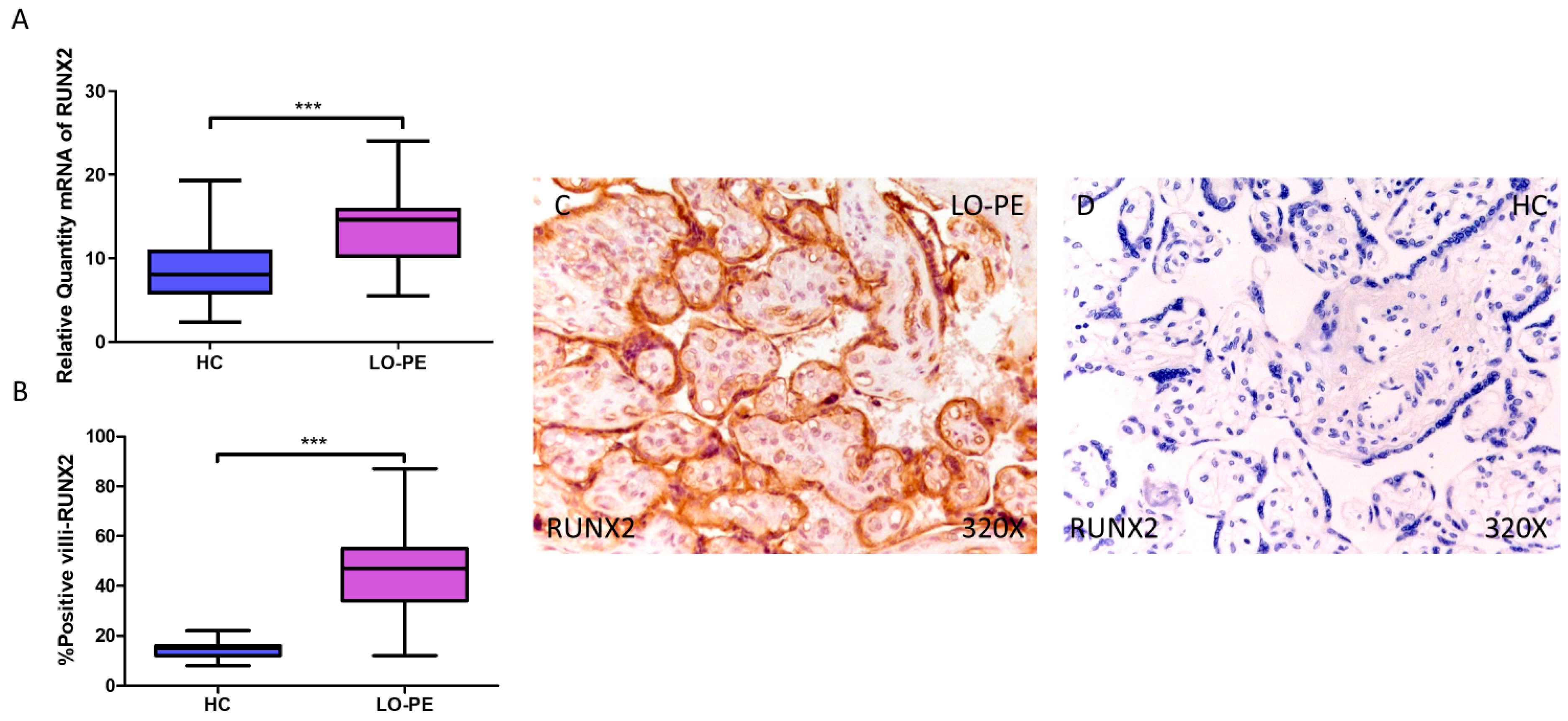 Biomolecules 14 01237 g002